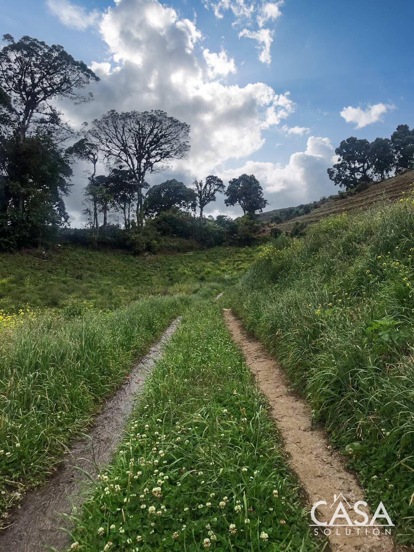Price Reduction! Huge 20-Acre Agricultural or EcoTourism Lot Near the Entrance of La Amistad International Park Entrance in Las Nubes, Cerro Punta, Chiriqui photo 9