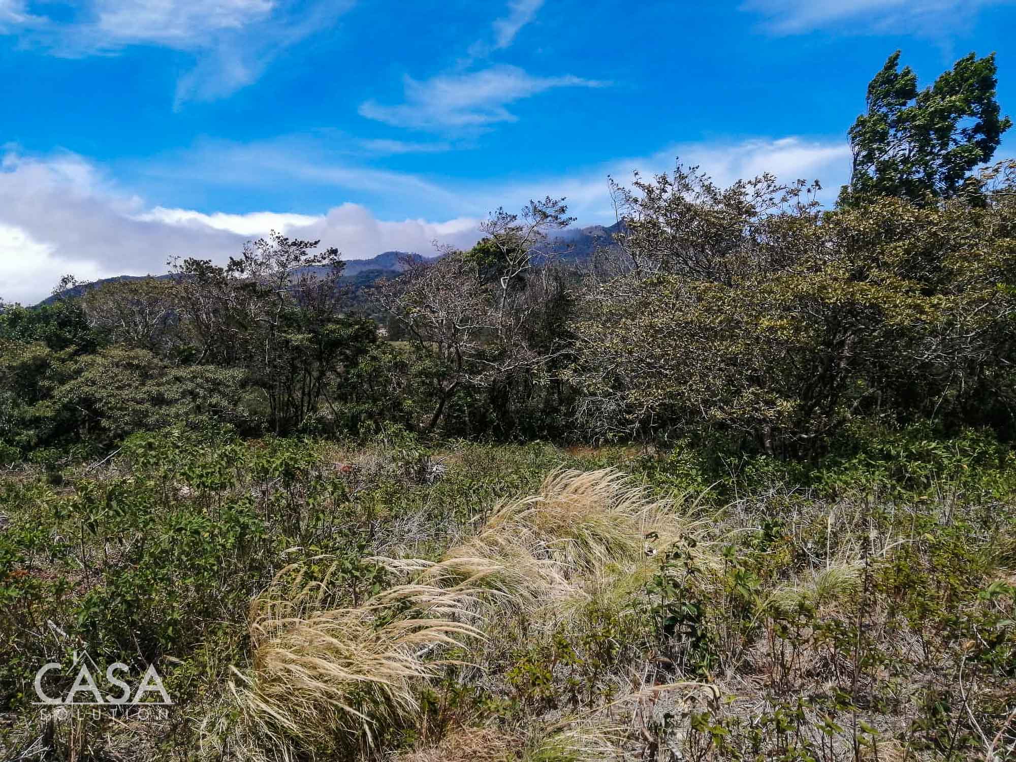 Withdrawn - Price Reduction!! Absolutely Incredible Views Overlooking Downtown Boquete Large Lot for Sale in front of CEFATI at Town Entrance photo 3