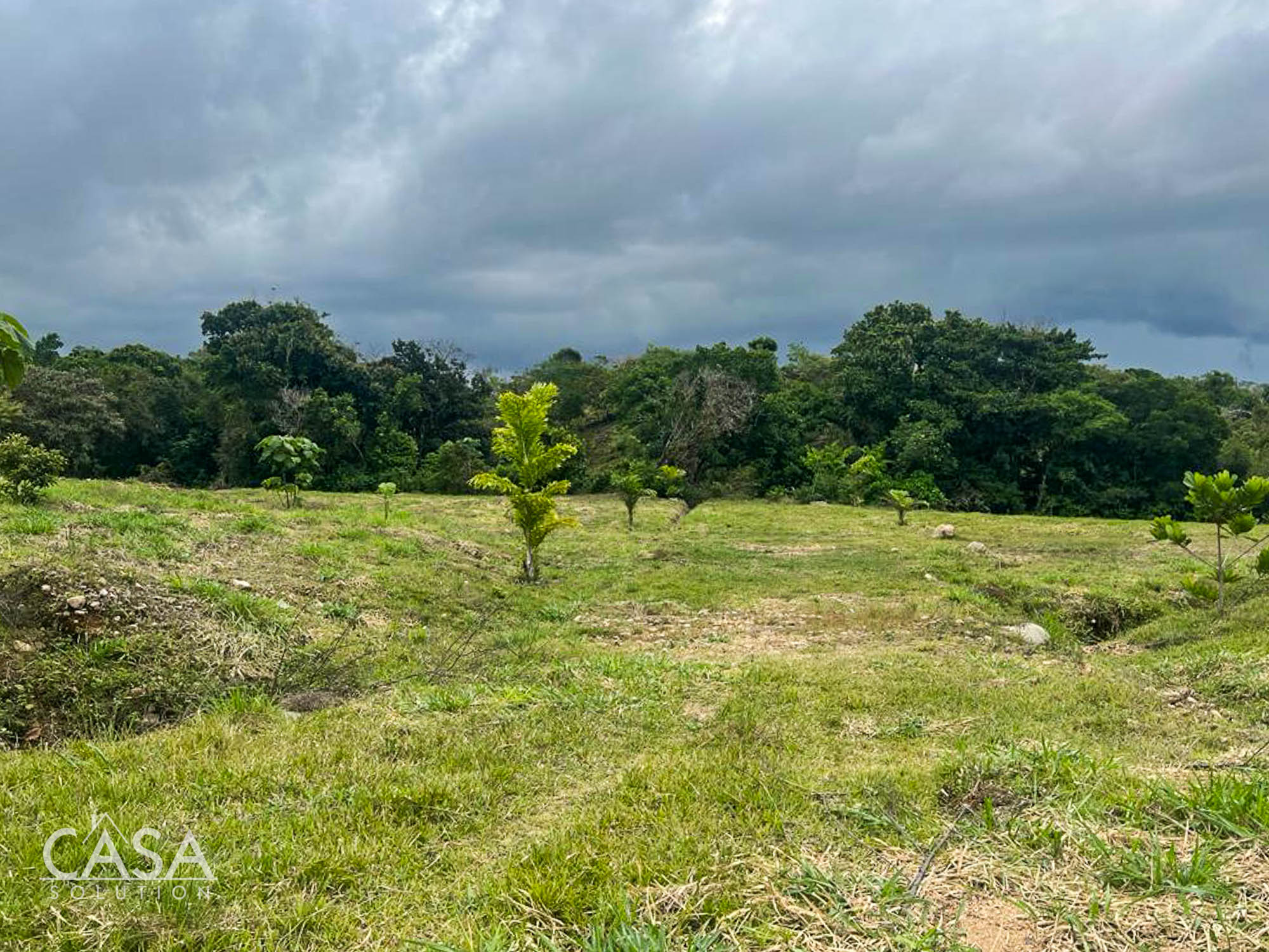 Withdrawn - Great Offer! Development Opportunity or Huge Home Site for Sale in Residencial San Antonio, Potrerillos Abajo, Chiriqui photo 4