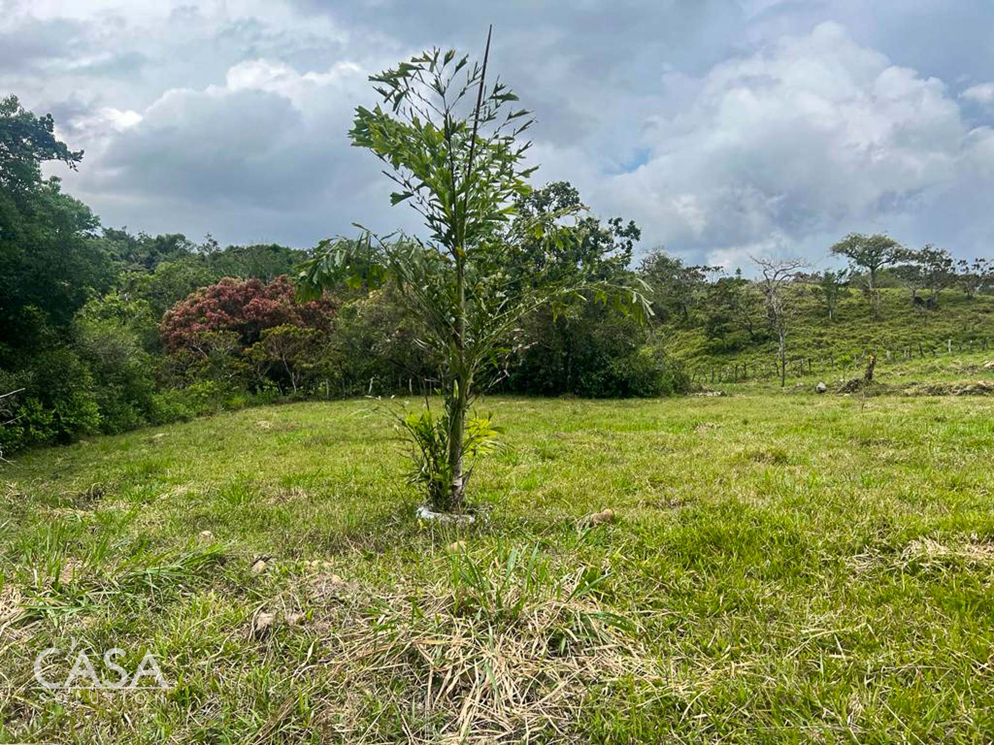Withdrawn - Great Offer! Development Opportunity or Huge Home Site for Sale in Residencial San Antonio, Potrerillos Abajo, Chiriqui photo 2