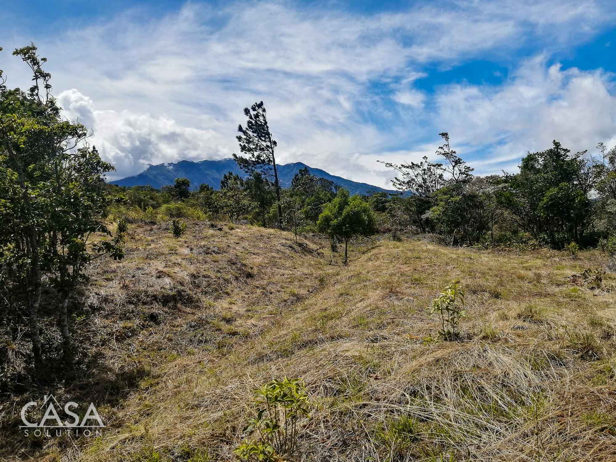 Withdrawn - Price Reduction!! Absolutely Incredible Views Overlooking Downtown Boquete Large Lot for Sale in front of CEFATI at Town Entrance photo 2