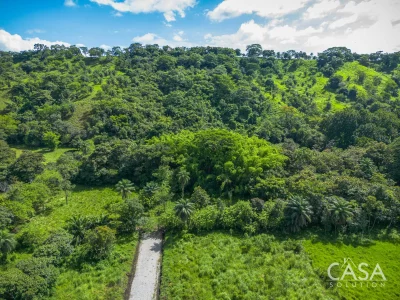 Price Reduction! Serene Paradise: A 3-hectare Diverse Property for Sale in San Carlos, David with Forest, Streams & Mountain Views