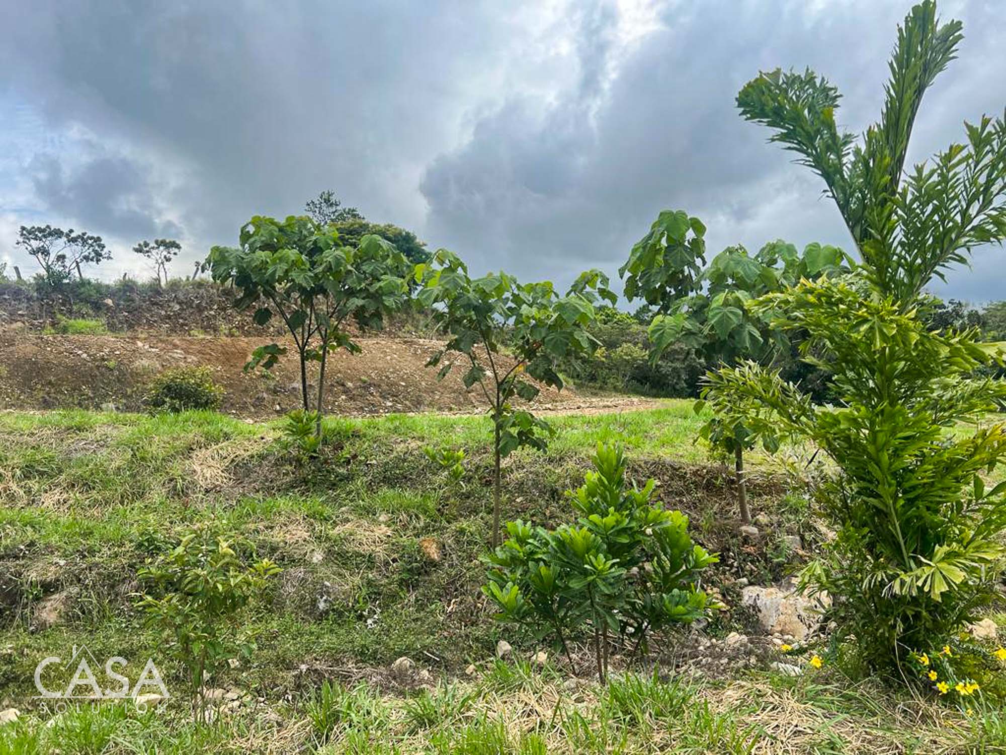 Withdrawn - Great Offer! Development Opportunity or Huge Home Site for Sale in Residencial San Antonio, Potrerillos Abajo, Chiriqui photo 5