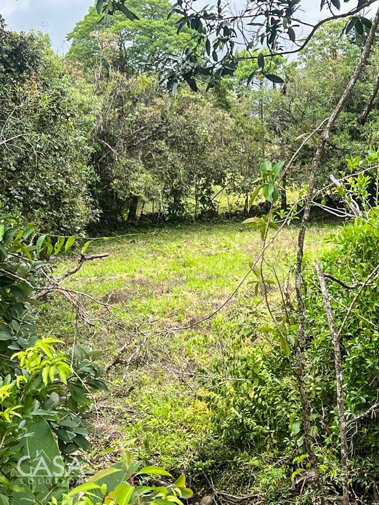 Withdrawn - Great Offer! Development Opportunity or Huge Home Site for Sale in Residencial San Antonio, Potrerillos Abajo, Chiriqui photo 6