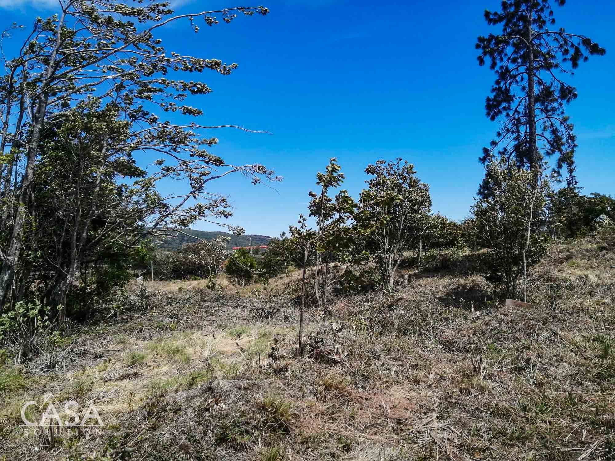 Withdrawn - Price Reduction!! Absolutely Incredible Views Overlooking Downtown Boquete Large Lot for Sale in front of CEFATI at Town Entrance photo 7