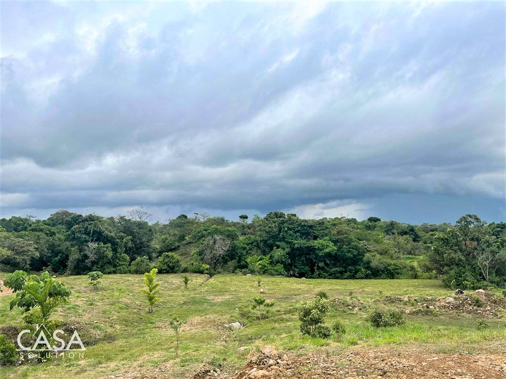 Withdrawn - Great Offer! Development Opportunity or Huge Home Site for Sale in Residencial San Antonio, Potrerillos Abajo, Chiriqui photo 12