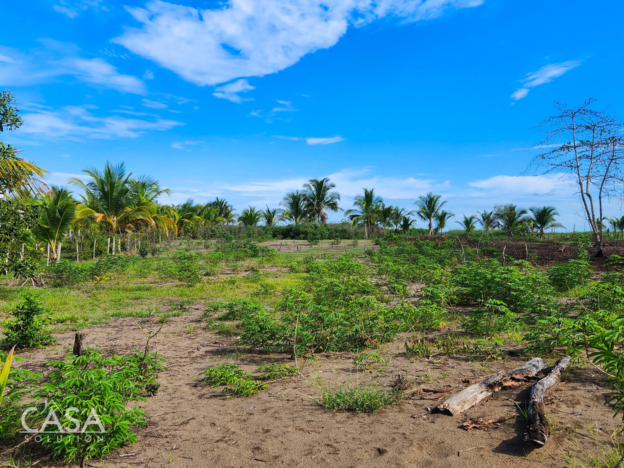 Withdrawn - Beachfront Paradise Lot For Sale in Las Lajas, Chiriqui