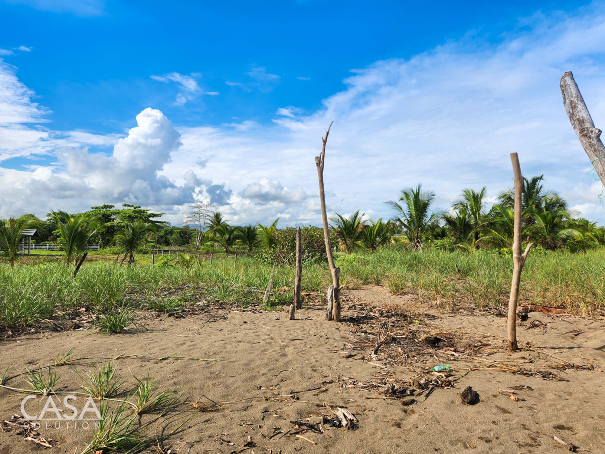 Withdrawn - Beachfront Paradise Lot For Sale in Las Lajas, Chiriqui photo 5