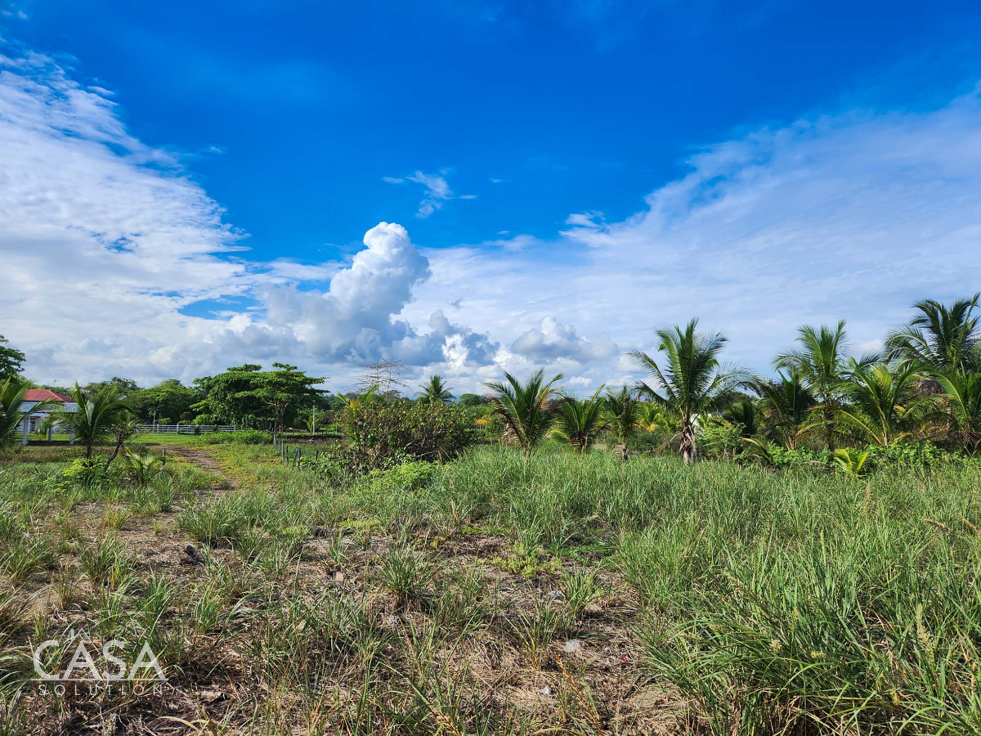 Withdrawn - Beachfront Paradise Lot For Sale in Las Lajas, Chiriqui photo 6