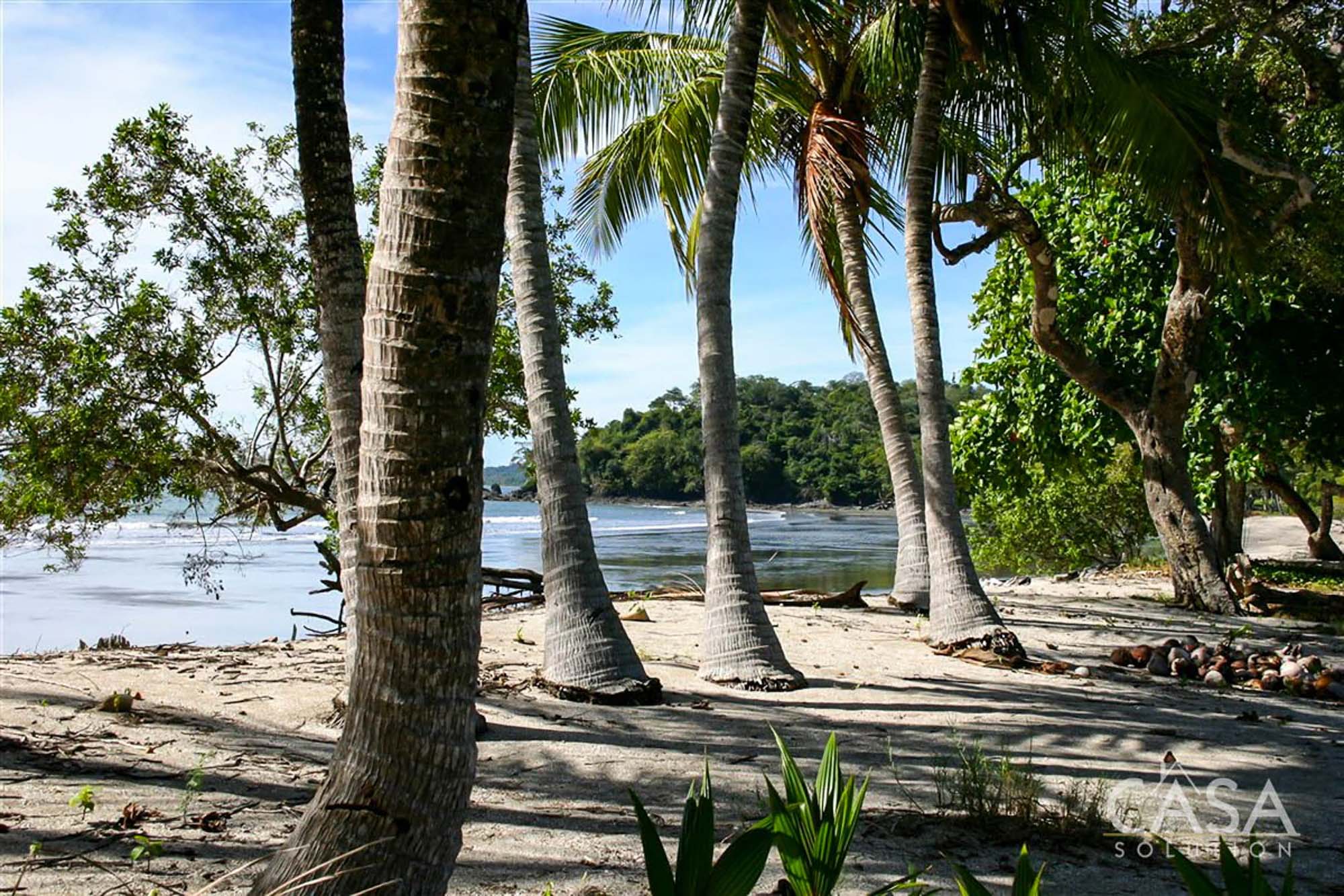 Price Reduction!! Your Own Tropical Getaway! On this 3,239 Sq. Meters Beachfront Lot 18 for Sale in Rincon Beach Estates, Boca Chica, Panama - One of Three Available