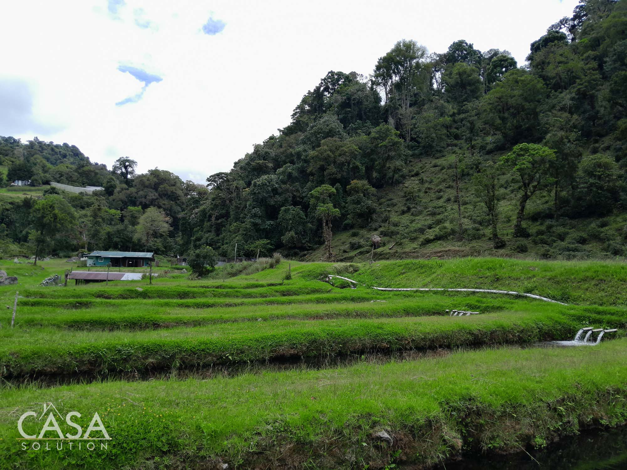 60.5 Acre Property for Sale with Trout Farming Paradise Ideal for Agro-Tourism in Bajo Mono, Los Naranjos, Chiriqui photo 2