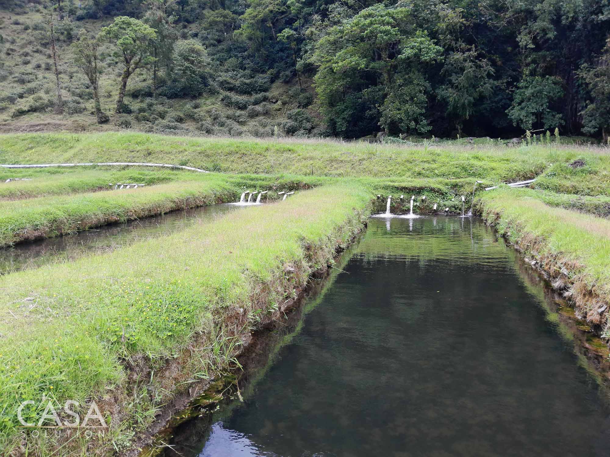 60.5 Acre Property for Sale with Trout Farming Paradise Ideal for Agro-Tourism in Bajo Mono, Los Naranjos, Chiriqui photo 3