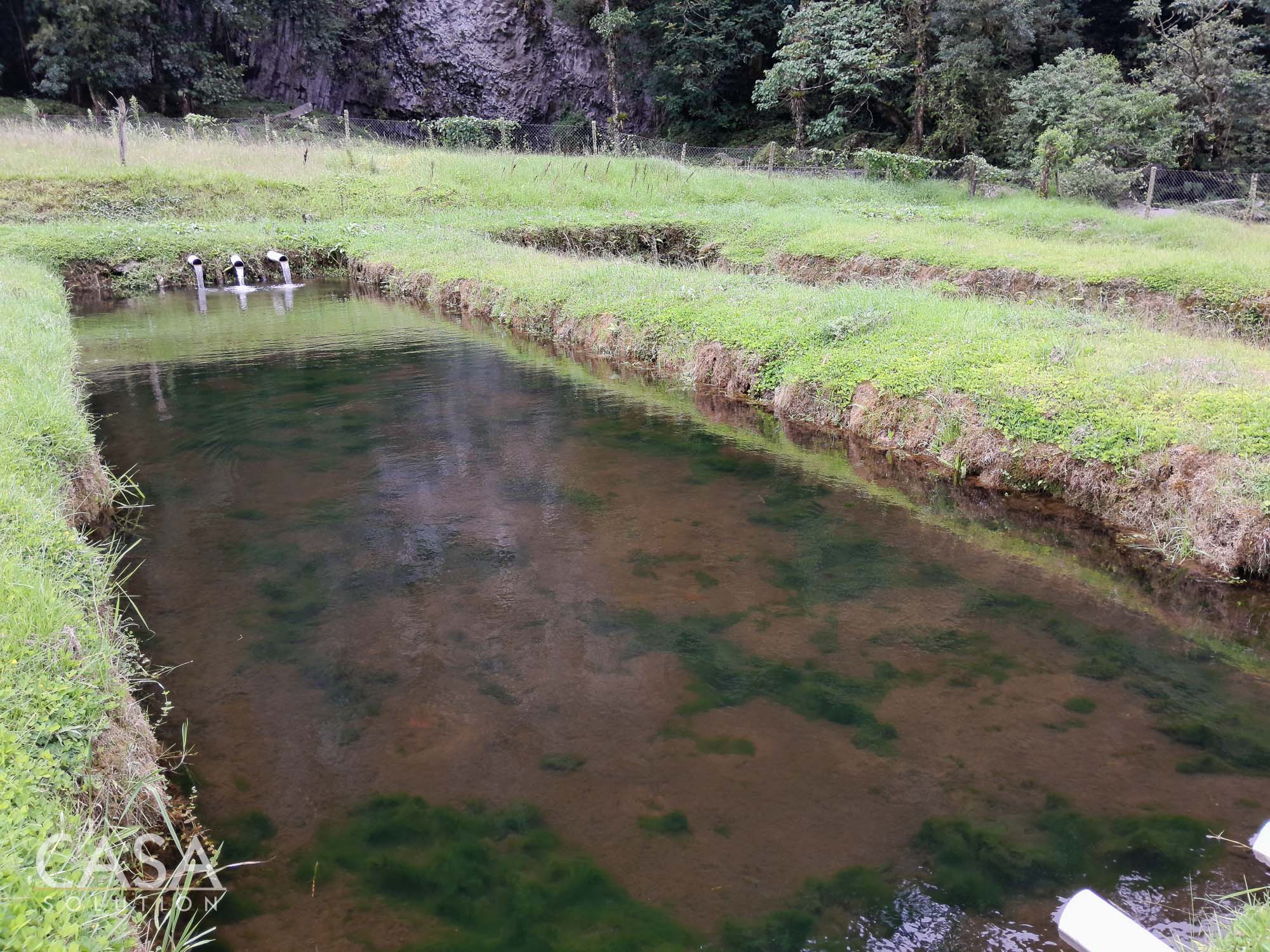 60.5 Acre Property for Sale with Trout Farming Paradise Ideal for Agro-Tourism in Bajo Mono, Los Naranjos, Chiriqui photo 4