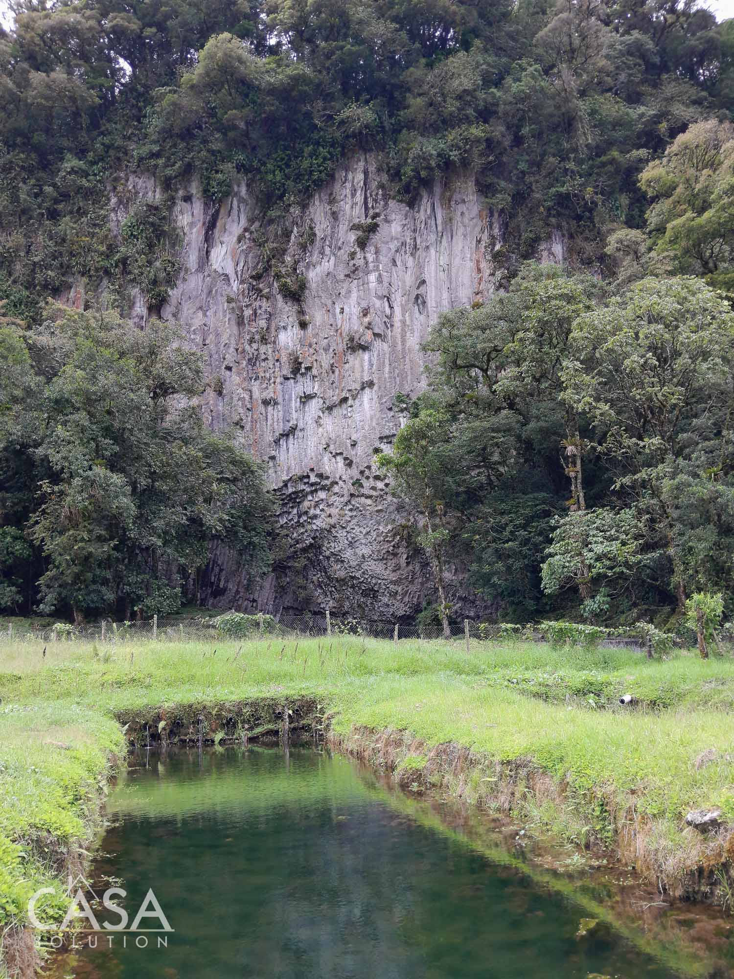 60.5 Acre Property for Sale with Trout Farming Paradise Ideal for Agro-Tourism in Bajo Mono, Los Naranjos, Chiriqui photo 6