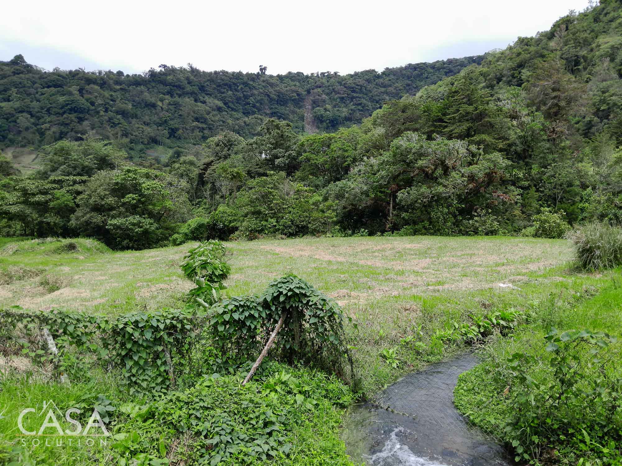 60.5 Acre Property for Sale with Trout Farming Paradise Ideal for Agro-Tourism in Bajo Mono, Los Naranjos, Chiriqui photo 7