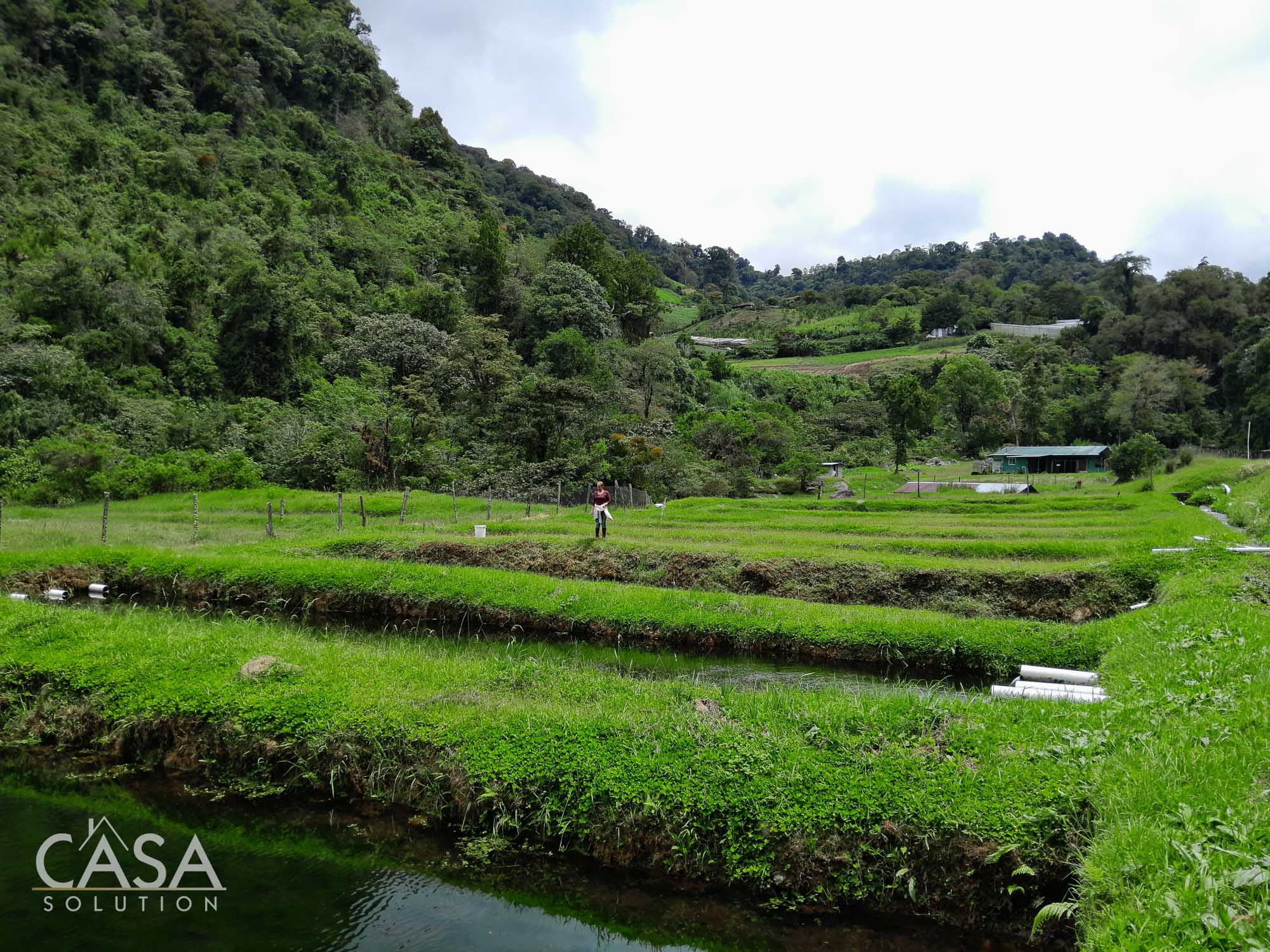 60.5 Acre Property for Sale with Trout Farming Paradise Ideal for Agro-Tourism in Bajo Mono, Los Naranjos, Chiriqui photo 8