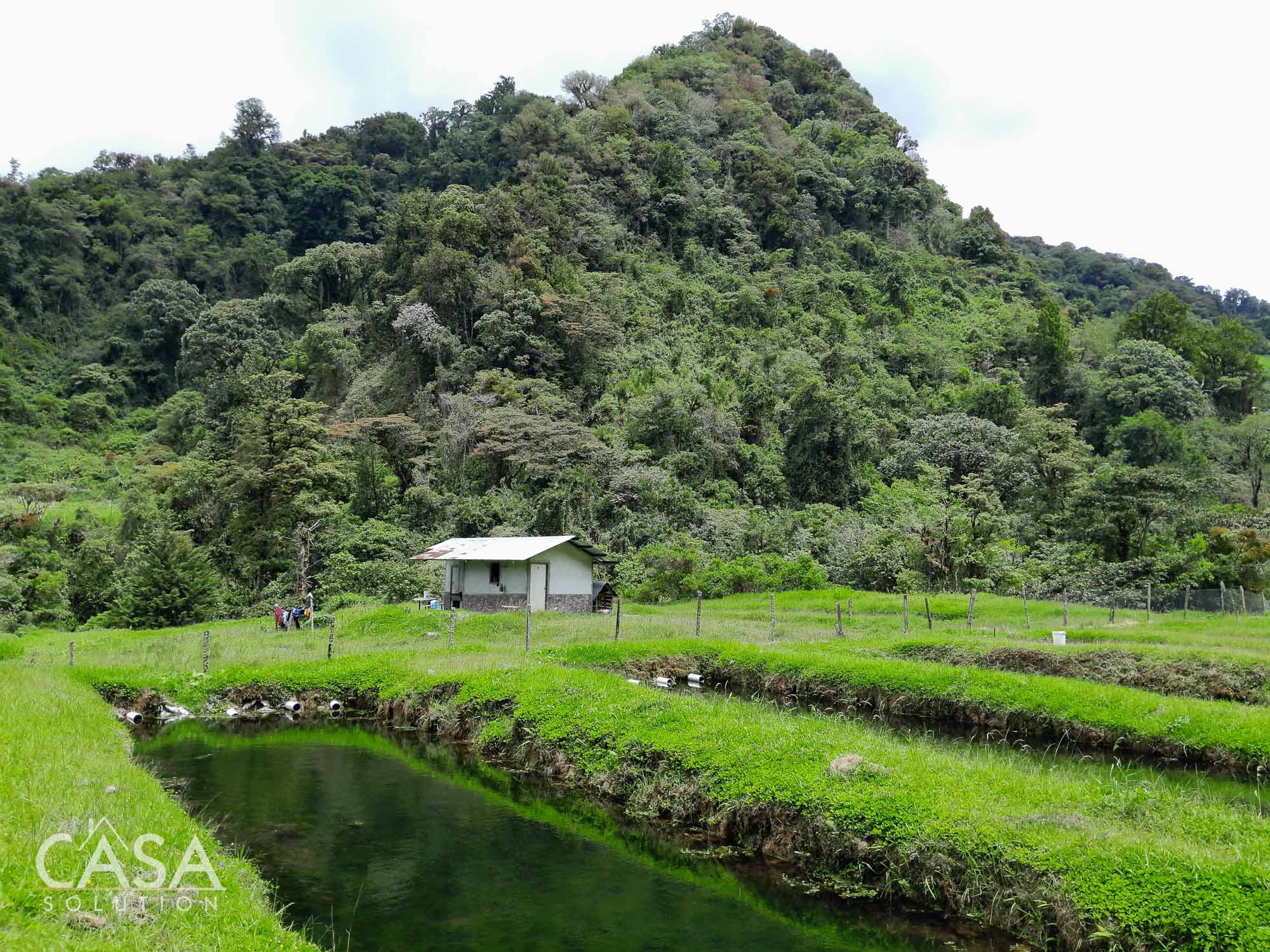 60.5 Acre Property for Sale with Trout Farming Paradise Ideal for Agro-Tourism in Bajo Mono, Los Naranjos, Chiriqui photo 9