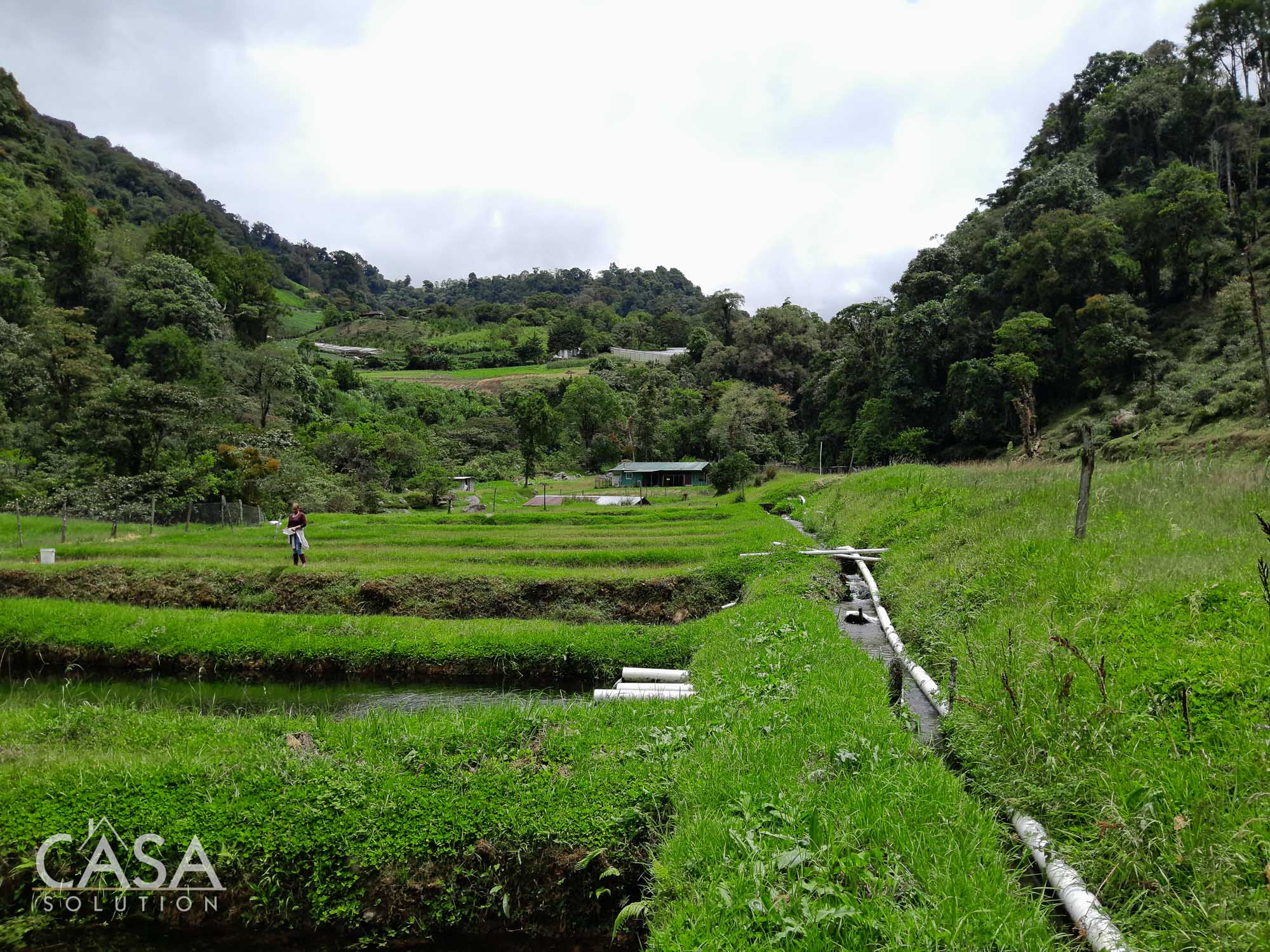 60.5 Acre Property for Sale with Trout Farming Paradise Ideal for Agro-Tourism in Bajo Mono, Los Naranjos, Chiriqui photo 11