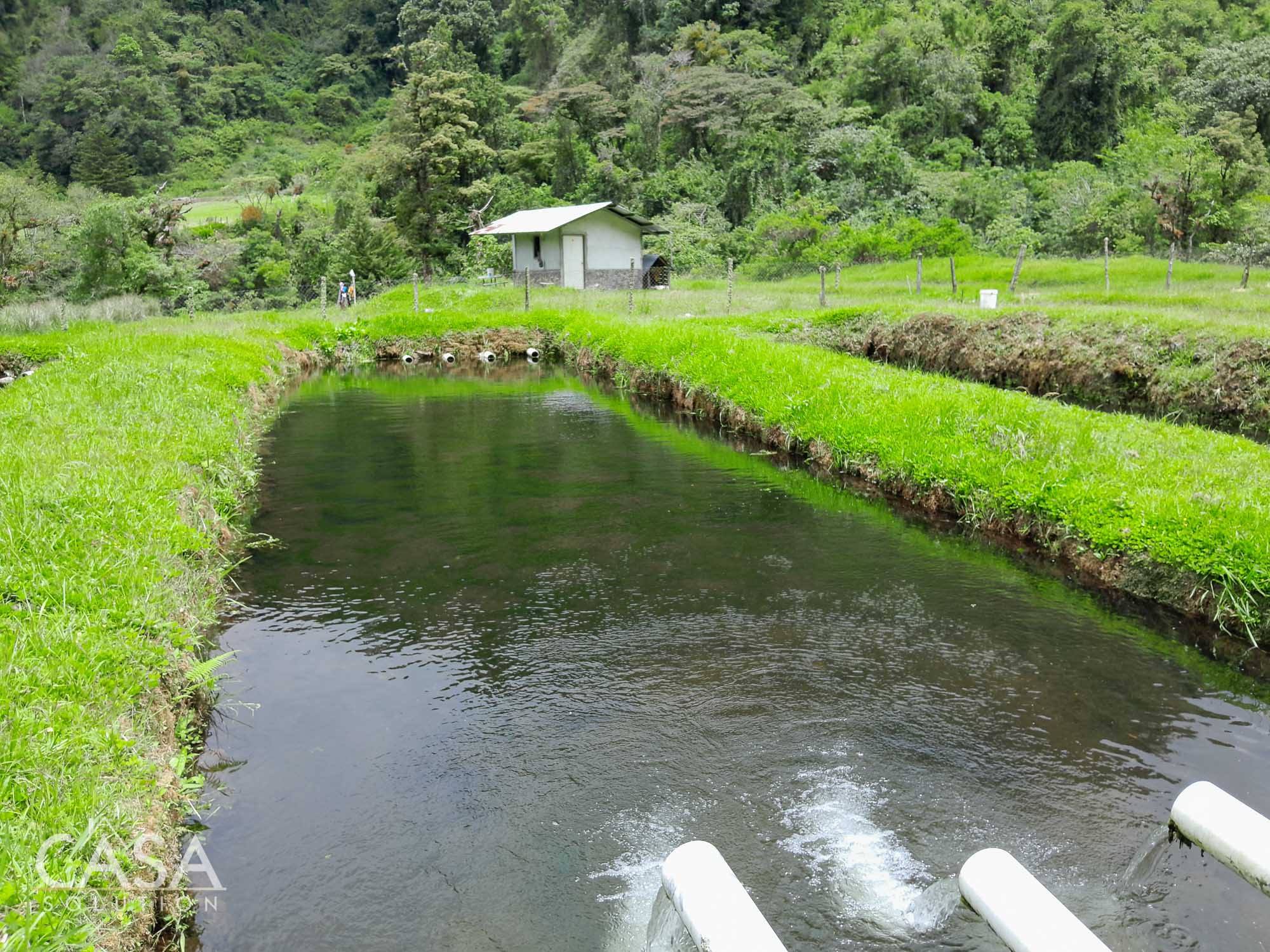 60.5 Acre Property for Sale with Trout Farming Paradise Ideal for Agro-Tourism in Bajo Mono, Los Naranjos, Chiriqui photo 12