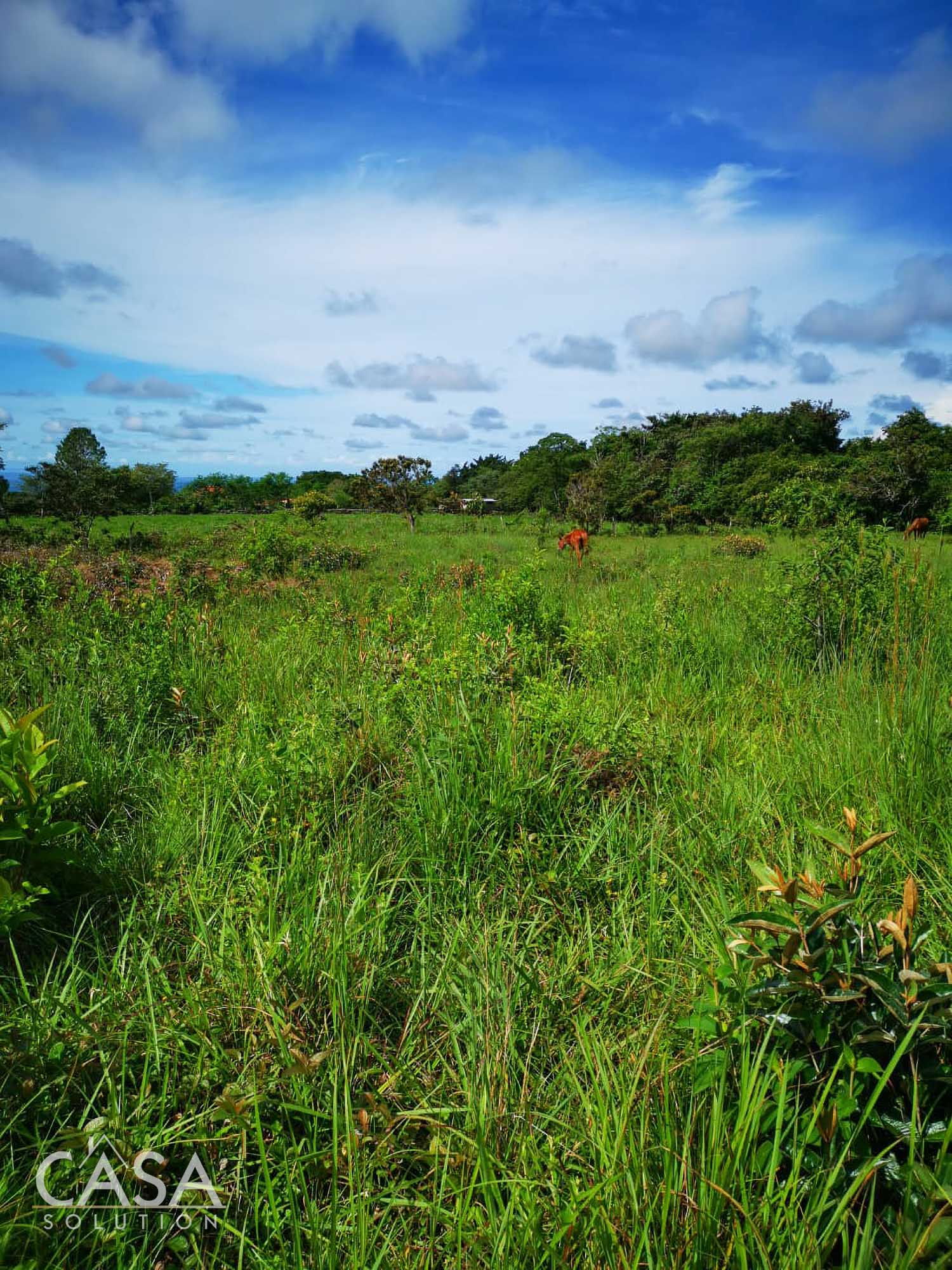 Off Market by Owner - Lovely Flat Lot of 1.6 AC with Seasonal Stream & Mountain Views for Sale in Potrerillos, Dolega, Chiriquí photo 3