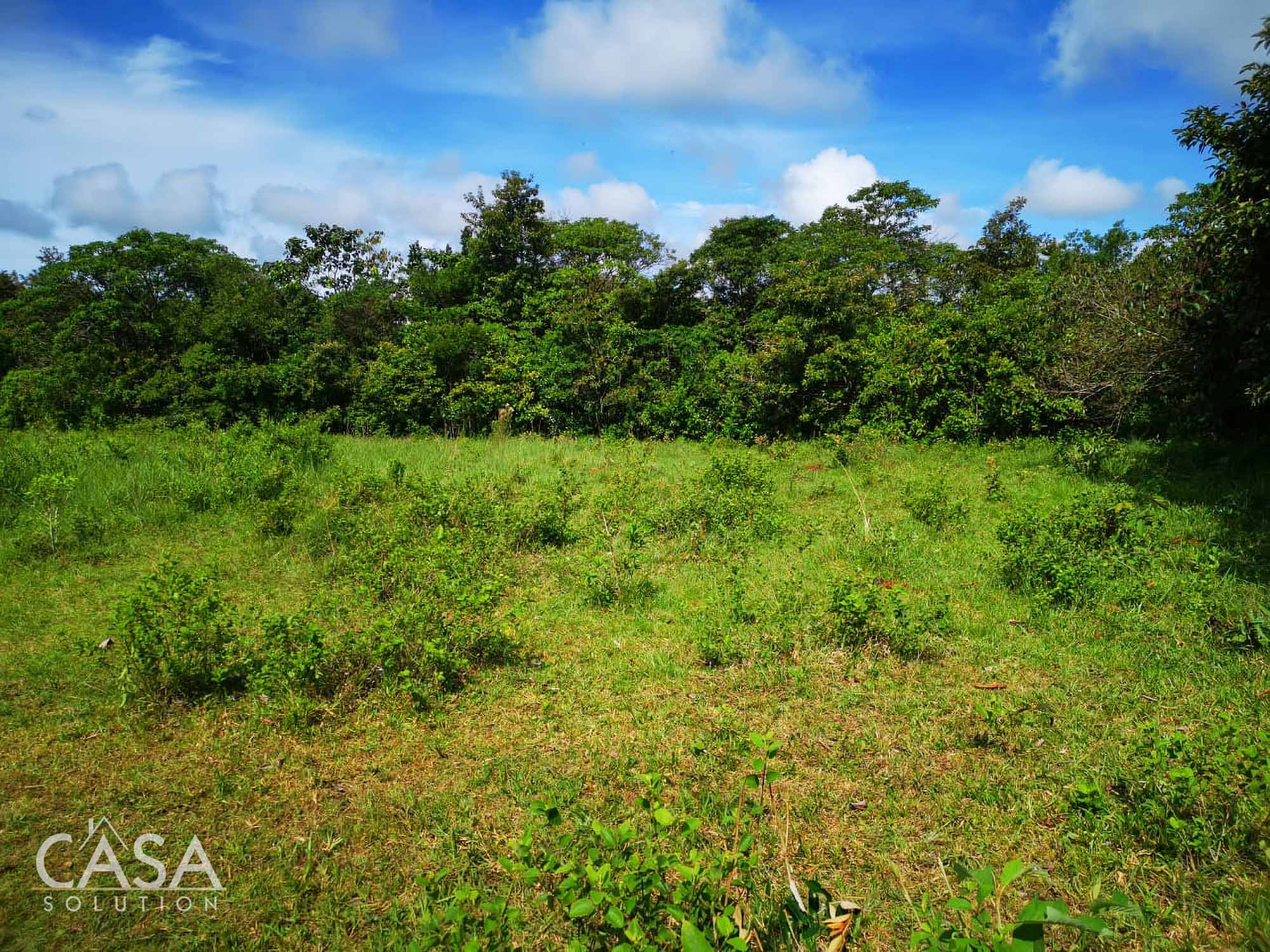 Off Market by Owner - Lovely Flat Lot of 1.6 AC with Seasonal Stream & Mountain Views for Sale in Potrerillos, Dolega, Chiriquí photo 5