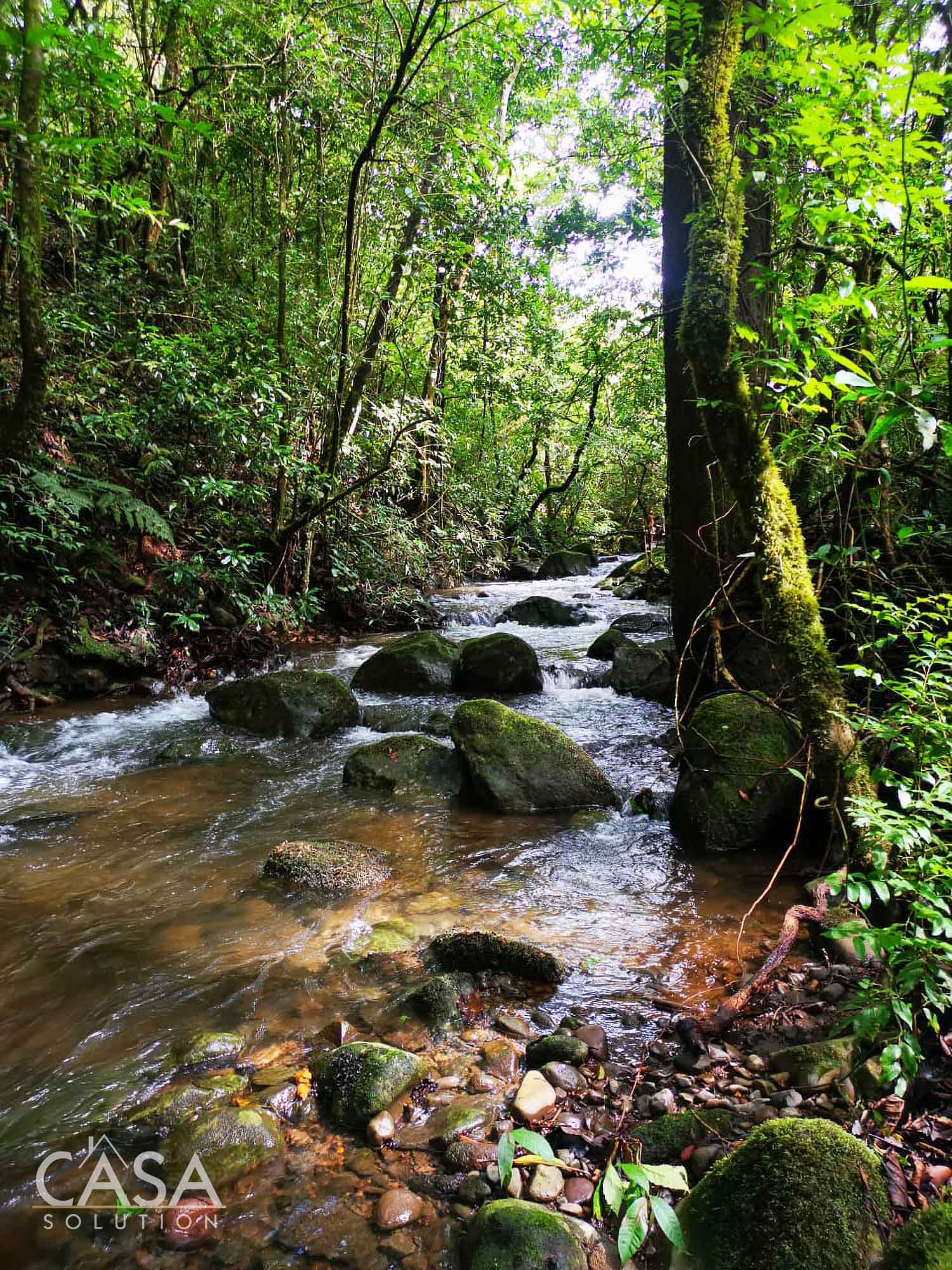 Off Market by Owner - Lovely Flat Lot of 1.6 AC with Seasonal Stream & Mountain Views for Sale in Potrerillos, Dolega, Chiriquí photo 7