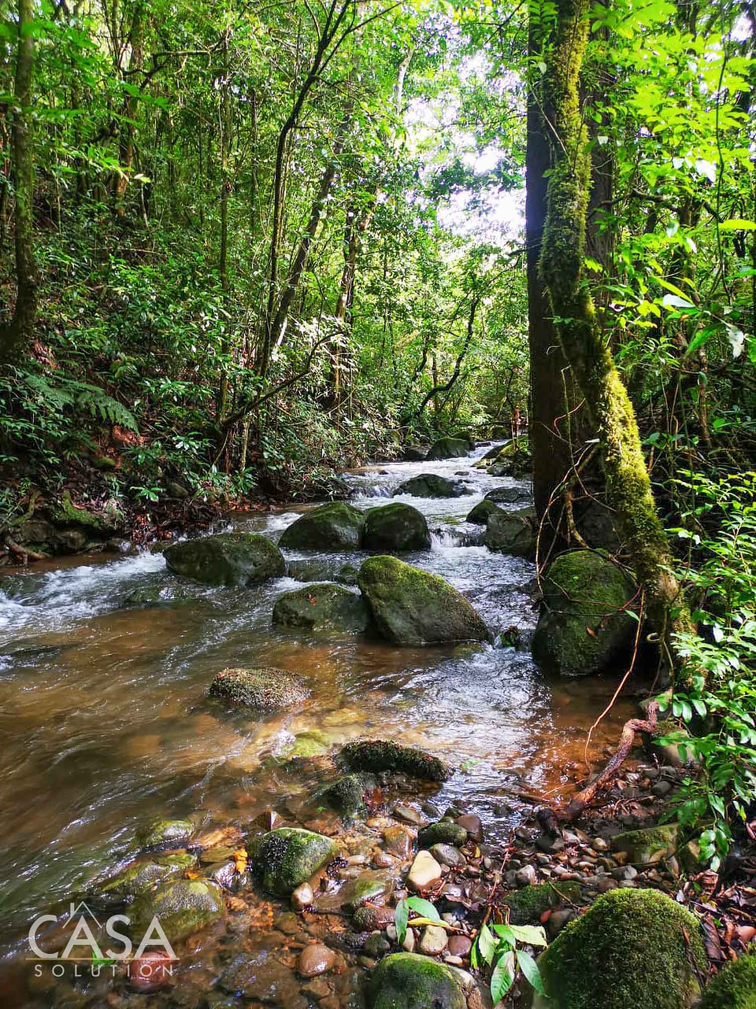 Off Market by Owner - Lovely Flat Lot of 1.6 AC with Seasonal Stream & Mountain Views for Sale in Potrerillos, Dolega, Chiriquí photo 9
