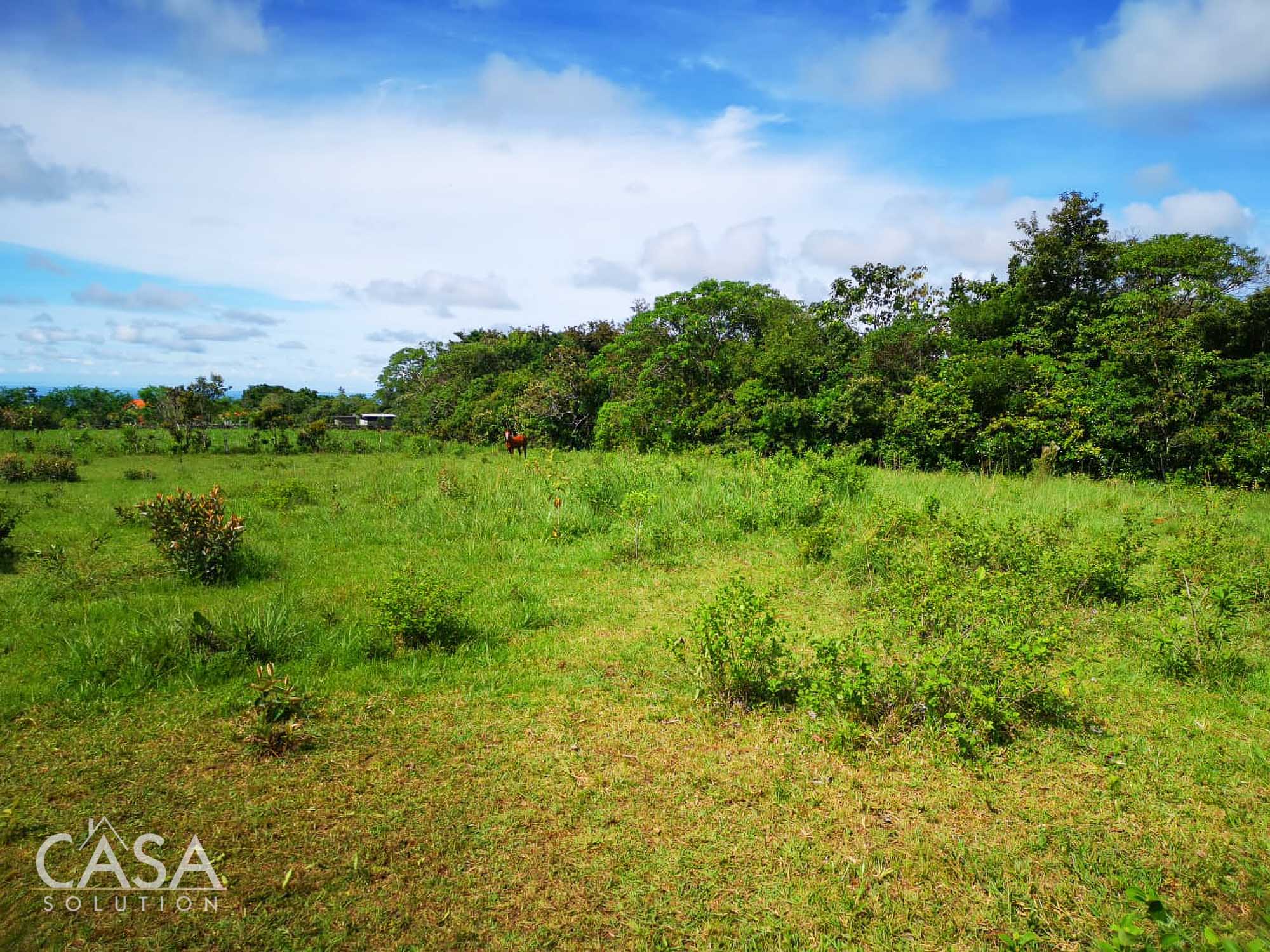 Off Market by Owner - Lovely Flat Lot of 1.6 AC with Seasonal Stream & Mountain Views for Sale in Potrerillos, Dolega, Chiriquí photo 4