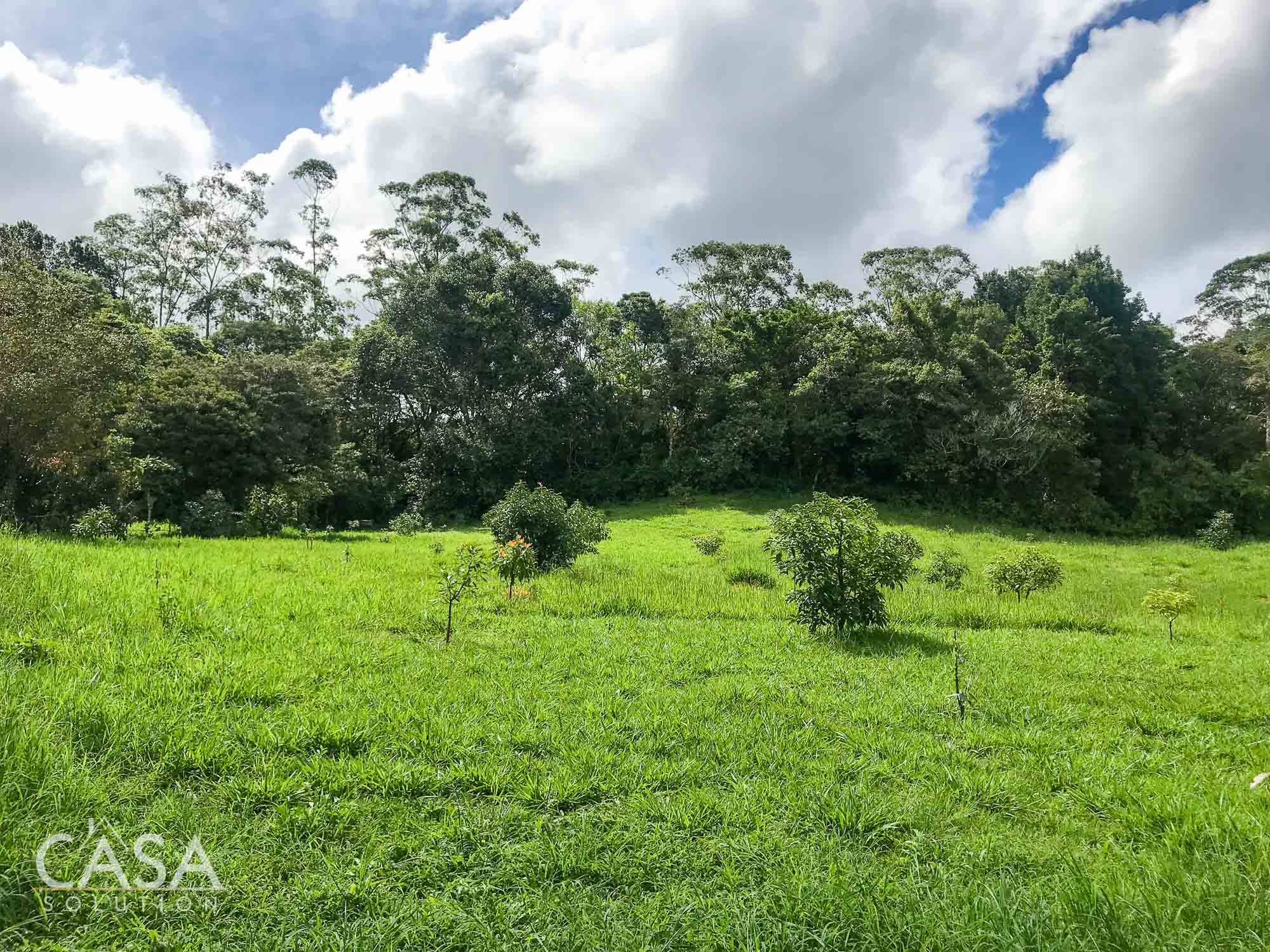 Withdrawn - Country Home, Avocado Farm & Honey Production on 14.8 Acres for Sale in El Mague, Nueva California, Volcán, Chiriqui, Panama