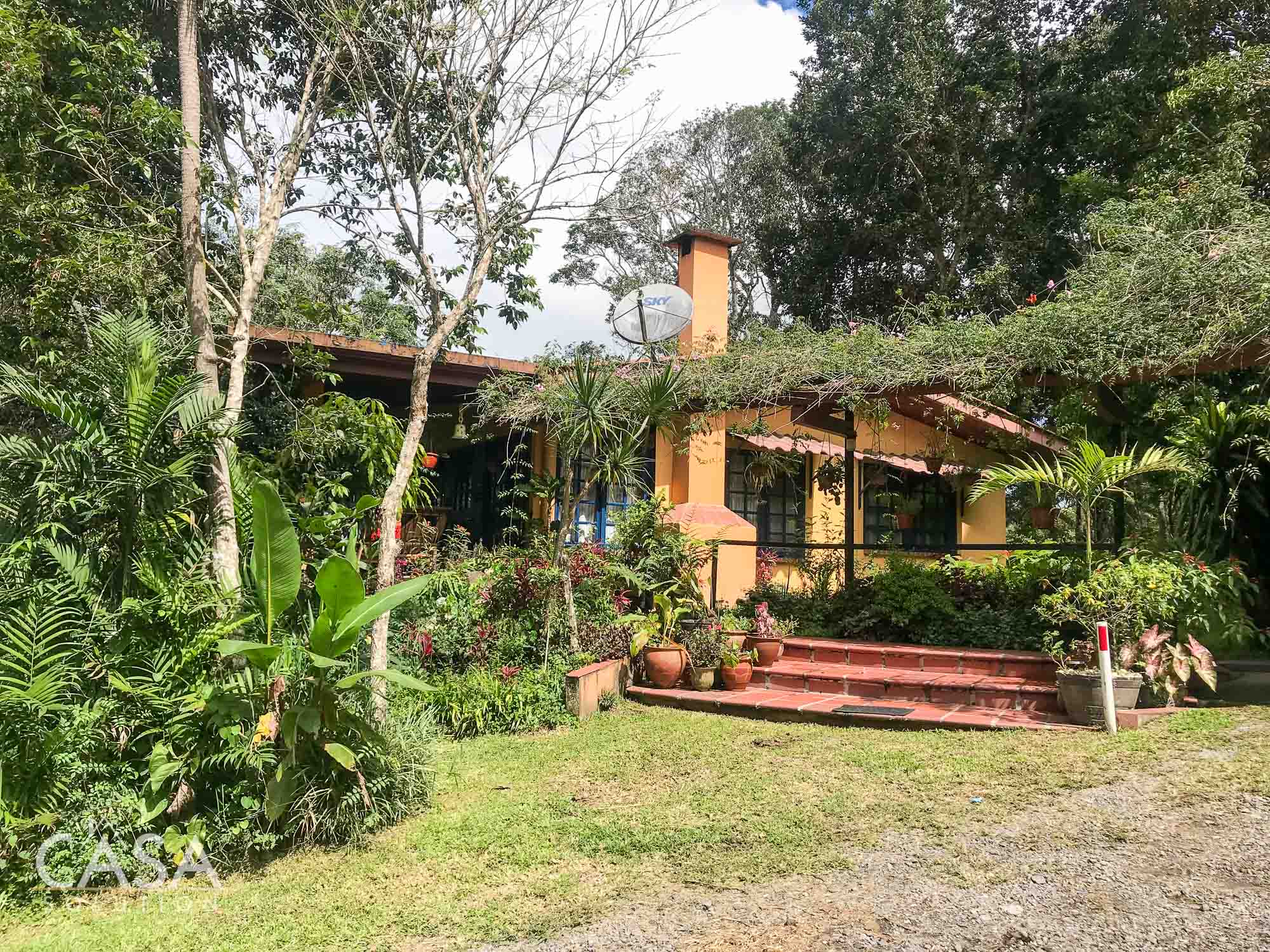 Withdrawn - Country Home, Avocado Farm & Honey Production on 14.8 Acres for Sale in El Mague, Nueva California, Volcán, Chiriqui, Panama photo 3