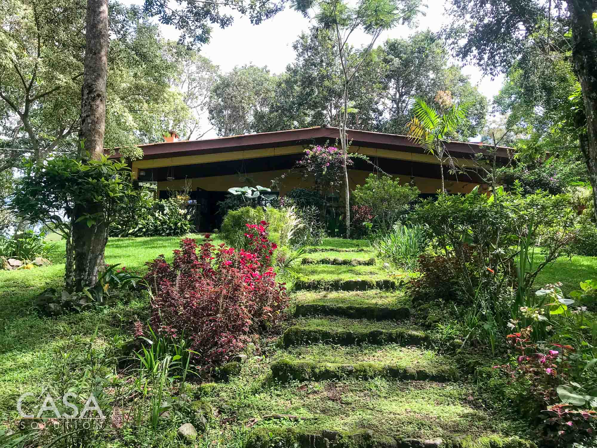 Withdrawn - Country Home, Avocado Farm & Honey Production on 14.8 Acres for Sale in El Mague, Nueva California, Volcán, Chiriqui, Panama photo 5