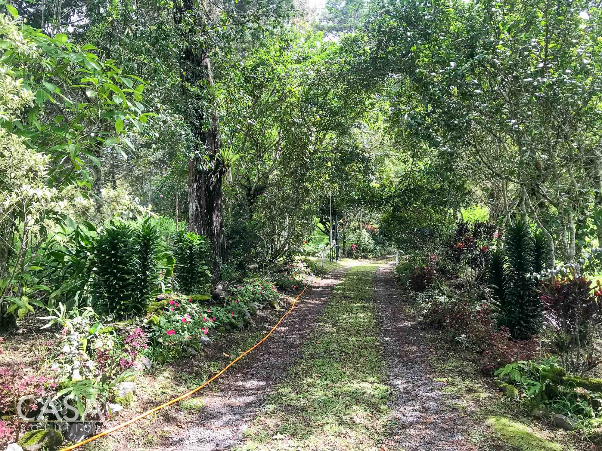 Withdrawn - Country Home, Avocado Farm & Honey Production on 14.8 Acres for Sale in El Mague, Nueva California, Volcán, Chiriqui, Panama photo 7
