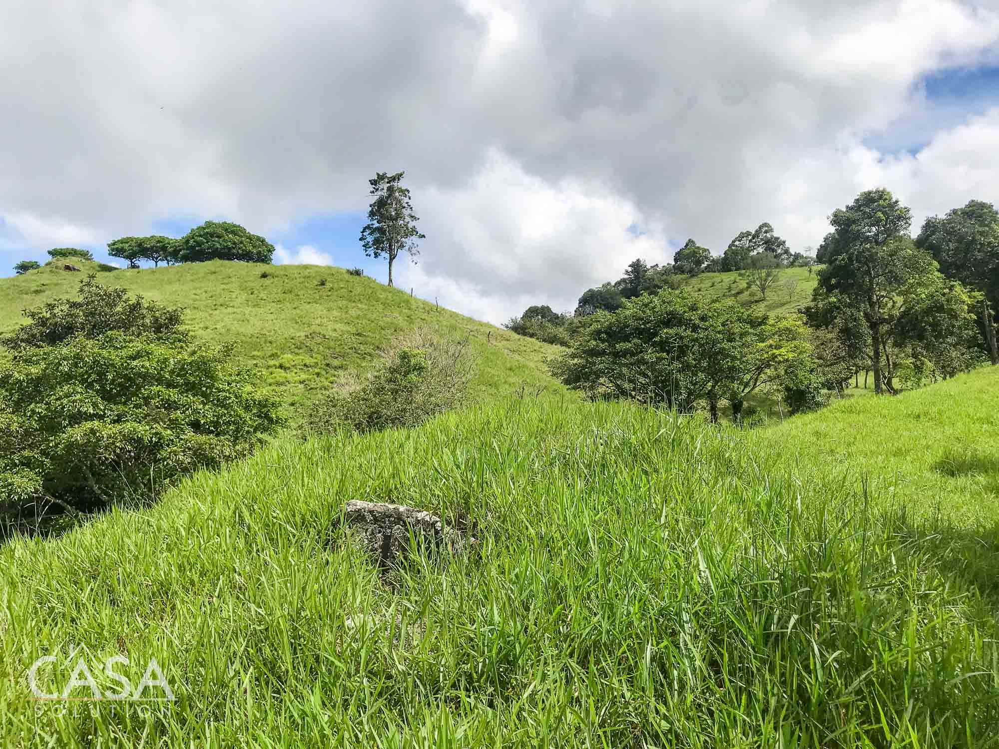 Withdrawn - Country Home, Avocado Farm & Honey Production on 14.8 Acres for Sale in El Mague, Nueva California, Volcán, Chiriqui, Panama photo 12