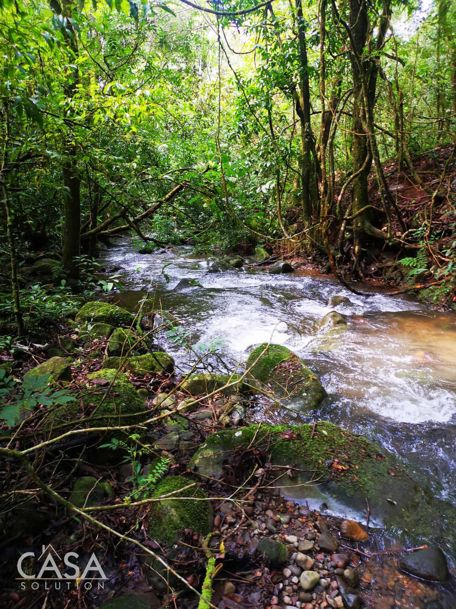 Off Market by Owner - Lovely Flat Lot of 1.6 AC with Seasonal Stream & Mountain Views for Sale in Potrerillos, Dolega, Chiriquí photo 12