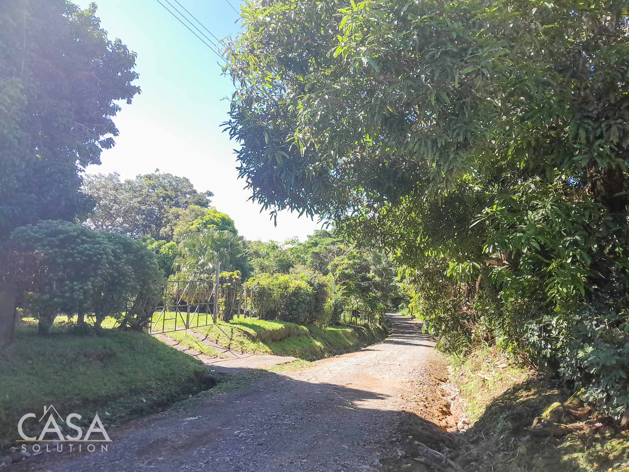 Withdrawn - Price Reduction! Fixer Upper House and Land for Sale Ideal for Gardening in Palmira Abajo, Boquete, Chiriqui photo 12