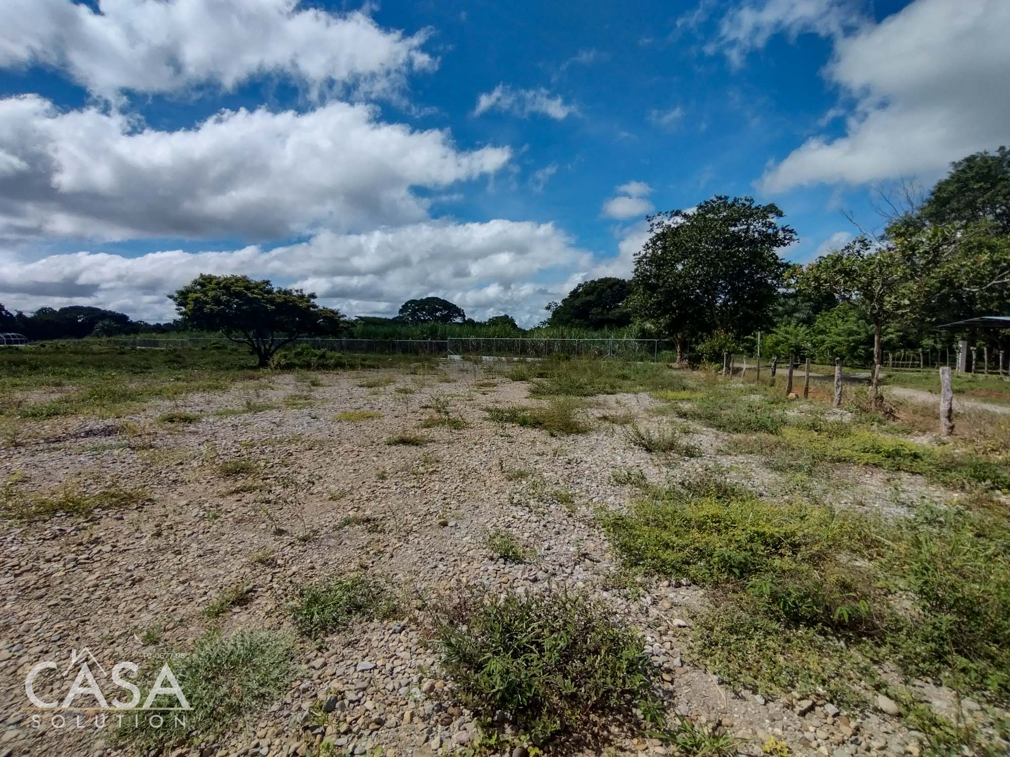 Flat Land for Sale in Dolega, Chiriqui - Conveniently located and Suitable for building, homesteading, farming, and more photo 4