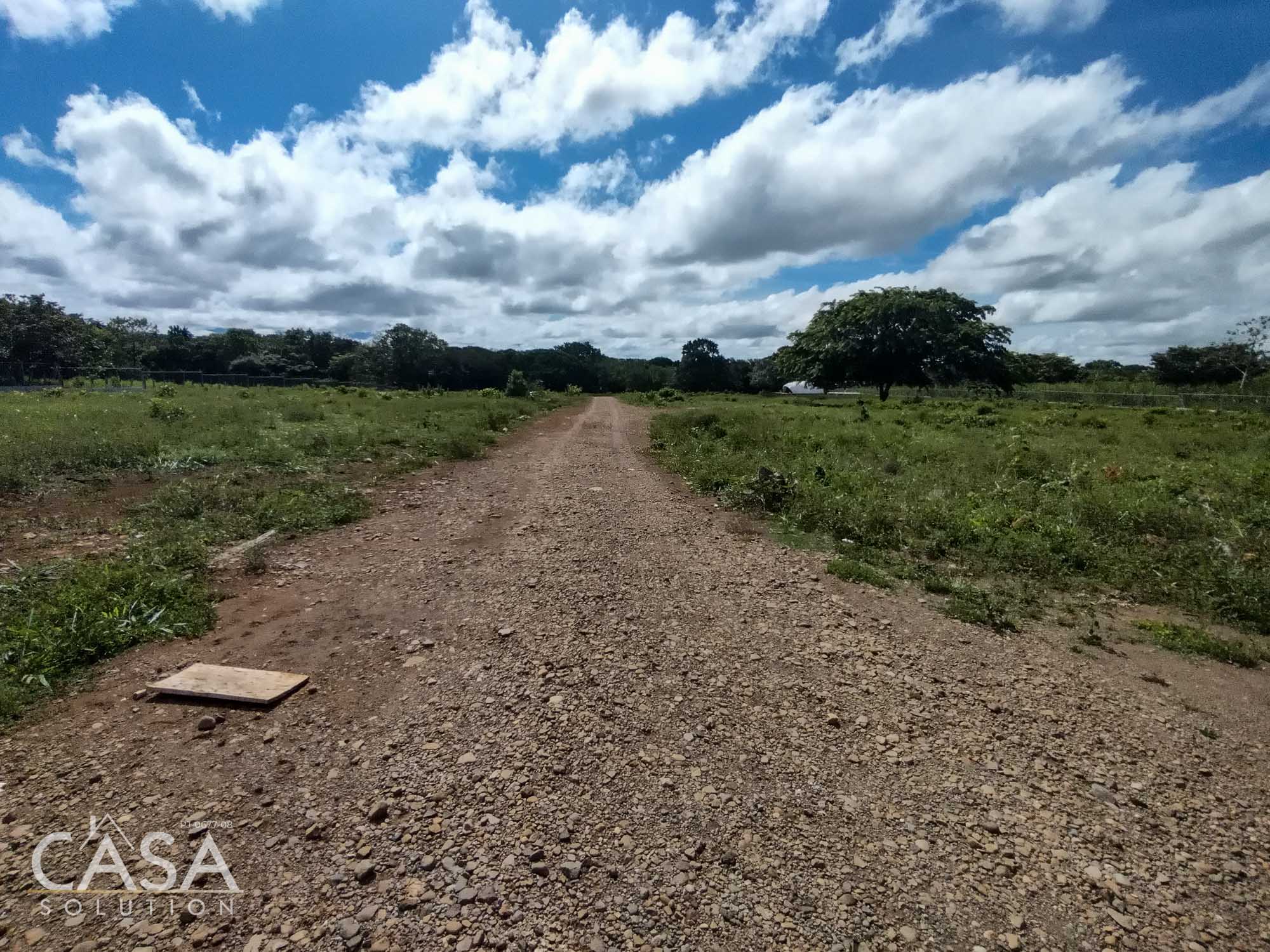 Flat Land for Sale in Dolega, Chiriqui - Conveniently located and Suitable for building, homesteading, farming, and more photo 12
