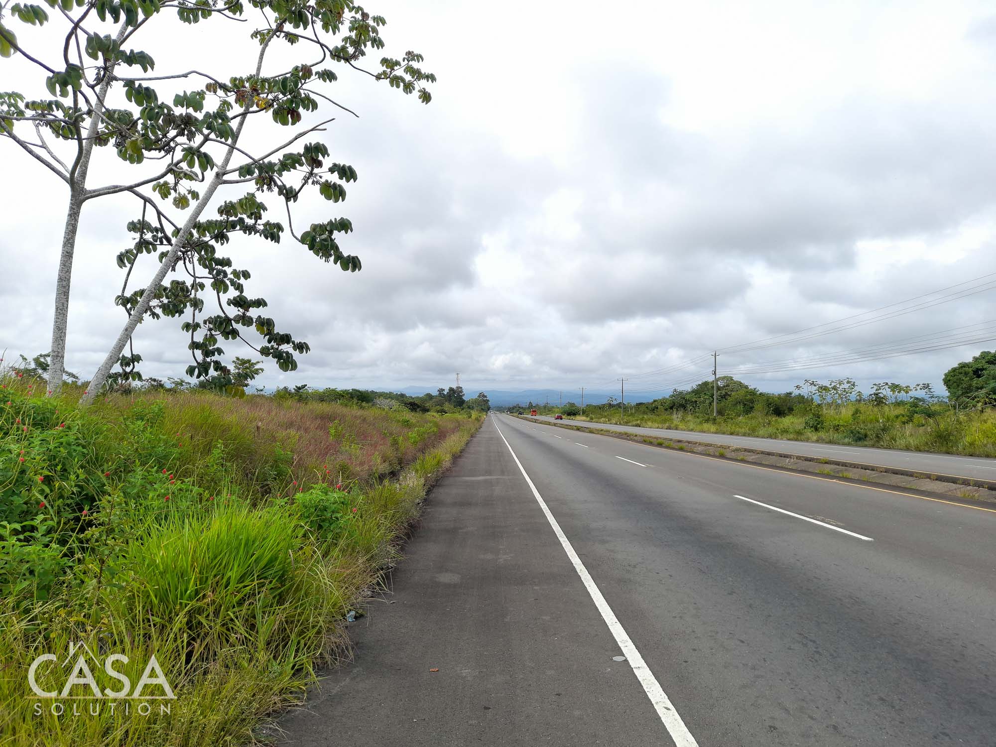 Spacious Land of 74 Acres Ideal for Development with Mountain Views Right on the Main David to Boquete Road for Sale photo 3