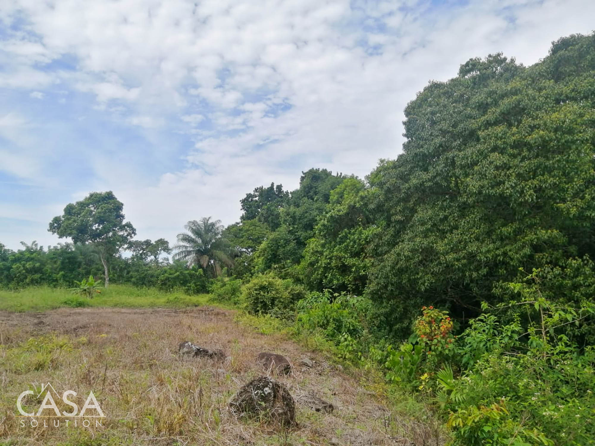 Withdrawn - Spacious Lot & Charming House with Fruit Trees and Chicken Coop for Sale in Boqueron, Chiriqui, Panama photo 6