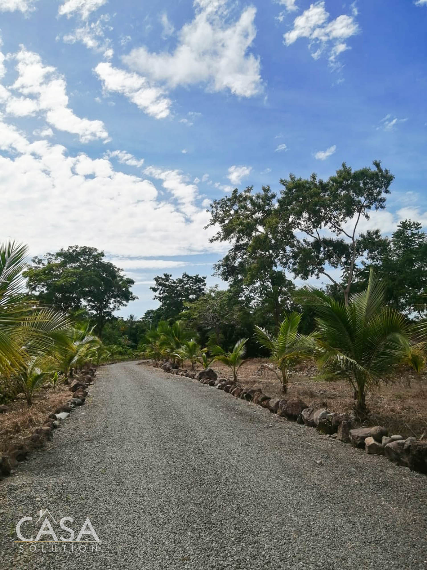 Withdrawn - Spacious Lot & Charming House with Fruit Trees and Chicken Coop for Sale in Boqueron, Chiriqui, Panama photo 9