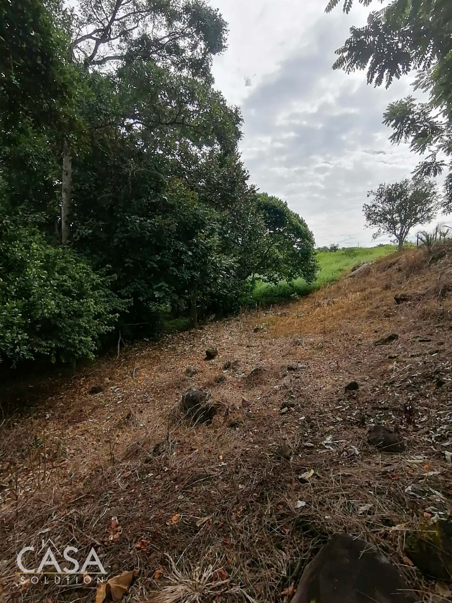 Withdrawn - Spacious Lot & Charming House with Fruit Trees and Chicken Coop for Sale in Boqueron, Chiriqui, Panama photo 10