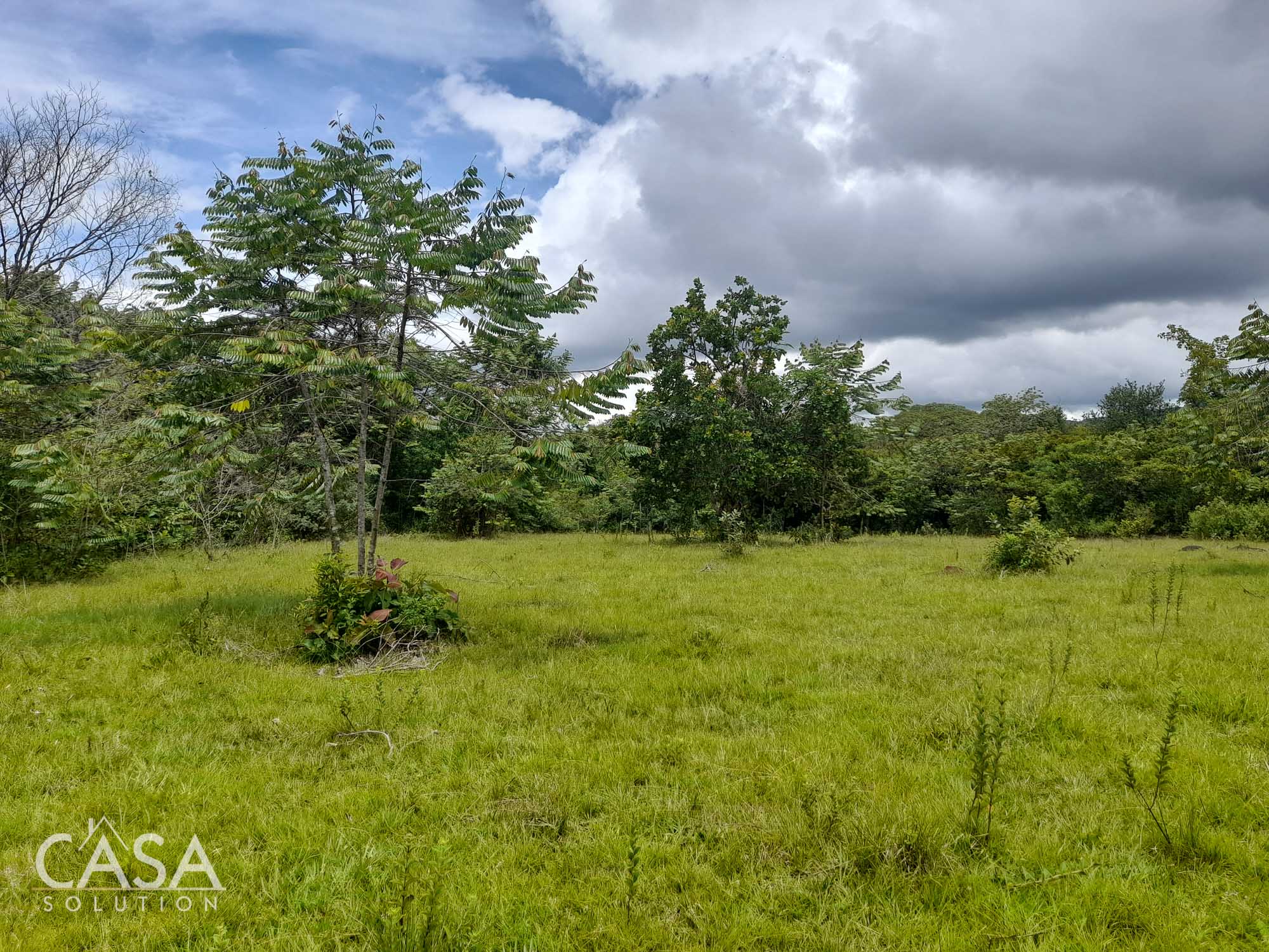 Sold by Casa Solution! Price Reduction! Embrace Tranquility with this 4,000 sqm Lot for Sale with Year-Round Creek and Majestic Mountain Views in Caldera, Chiriqui photo 5