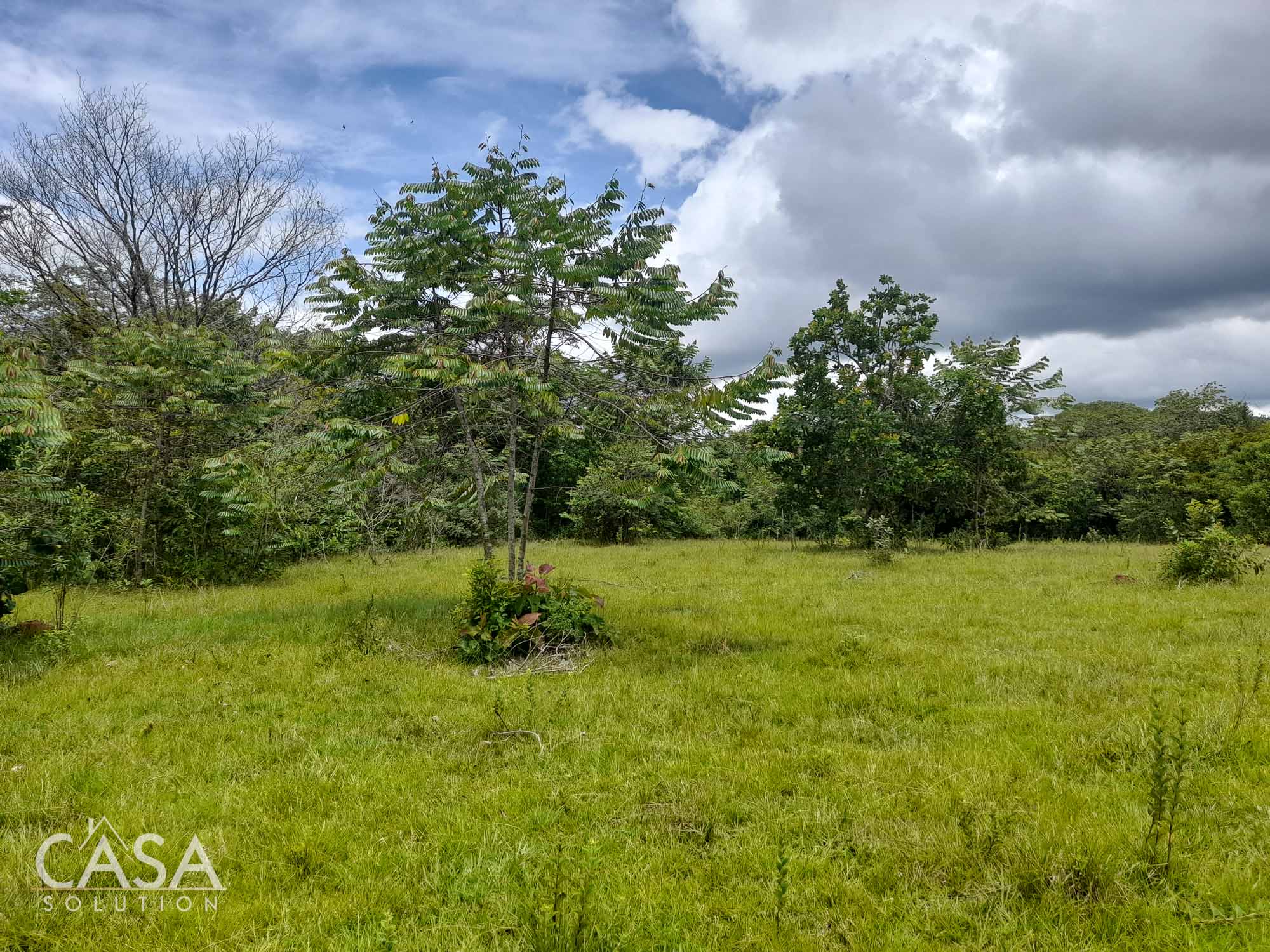Sold by Casa Solution! Price Reduction! Embrace Tranquility with this 4,000 sqm Lot for Sale with Year-Round Creek and Majestic Mountain Views in Caldera, Chiriqui photo 6
