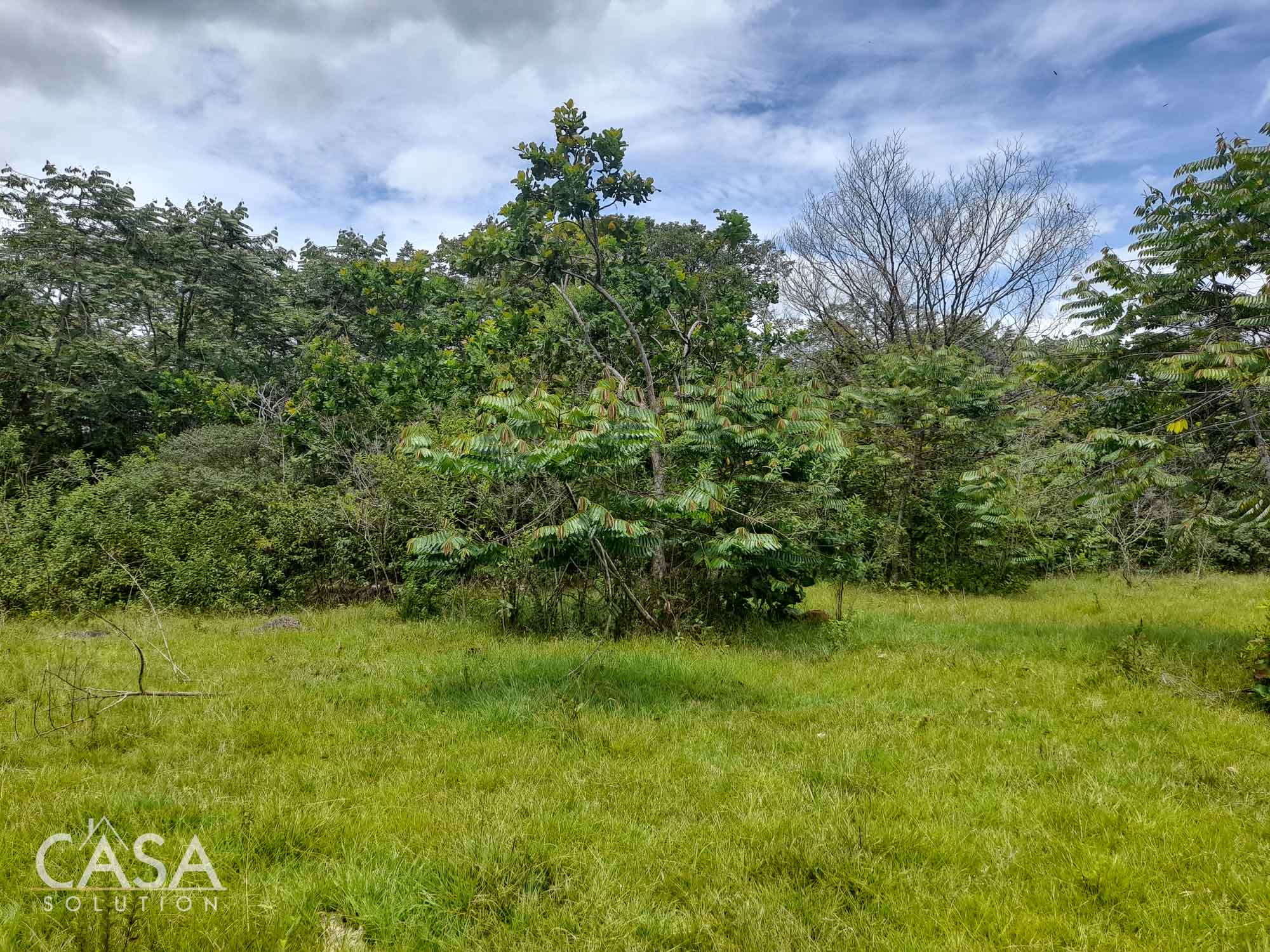 Sold by Casa Solution! Price Reduction! Embrace Tranquility with this 4,000 sqm Lot for Sale with Year-Round Creek and Majestic Mountain Views in Caldera, Chiriqui photo 7