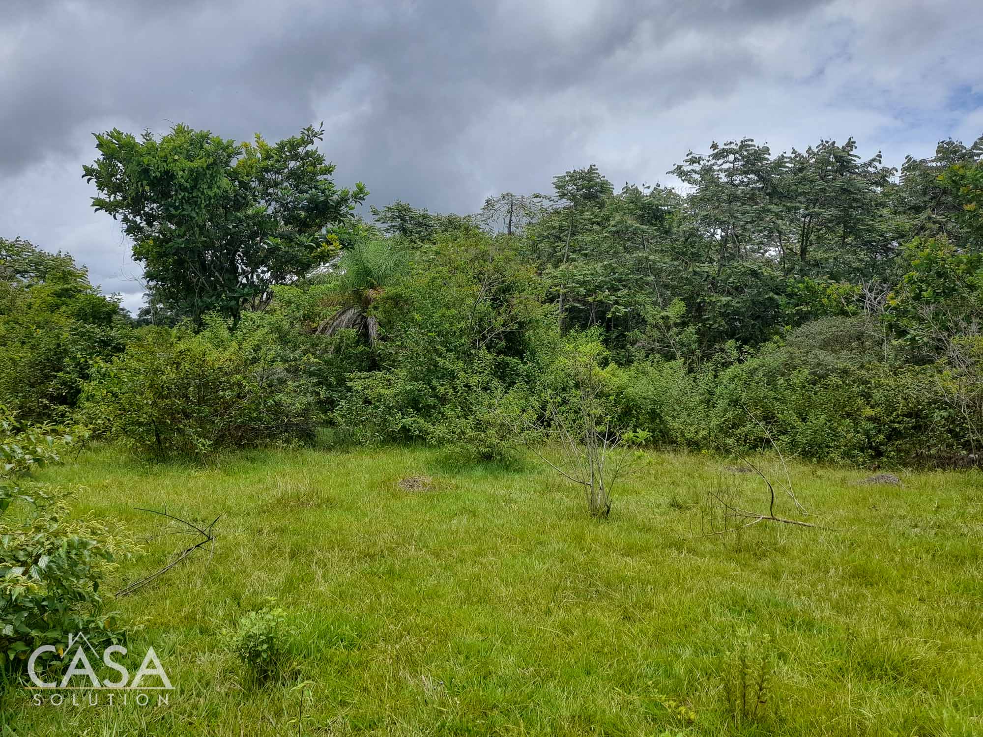 Sold by Casa Solution! Price Reduction! Embrace Tranquility with this 4,000 sqm Lot for Sale with Year-Round Creek and Majestic Mountain Views in Caldera, Chiriqui photo 8