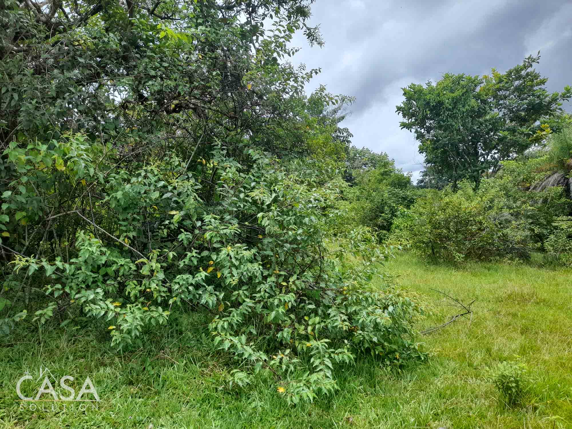 Sold by Casa Solution! Price Reduction! Embrace Tranquility with this 4,000 sqm Lot for Sale with Year-Round Creek and Majestic Mountain Views in Caldera, Chiriqui photo 9
