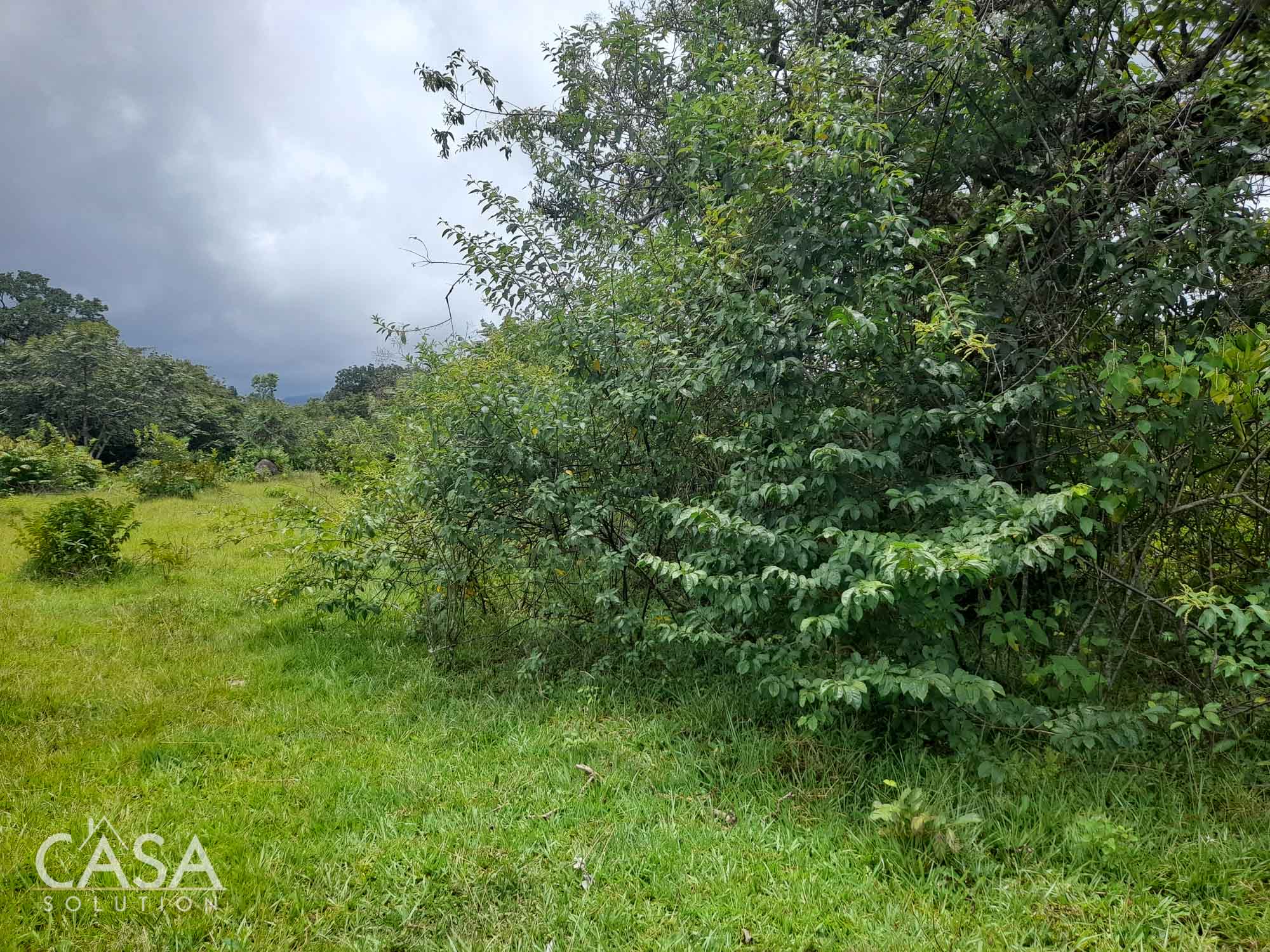 Sold by Casa Solution! Price Reduction! Embrace Tranquility with this 4,000 sqm Lot for Sale with Year-Round Creek and Majestic Mountain Views in Caldera, Chiriqui photo 10