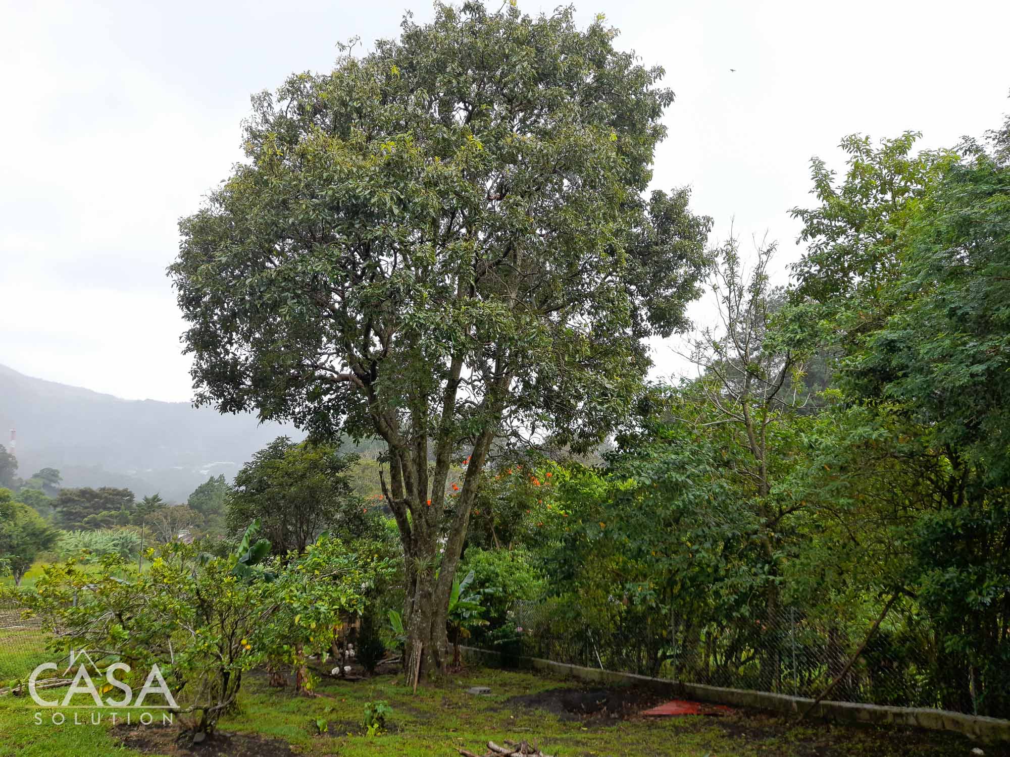 Cozy Rental Apartment with Mountain Views in Alto Lino, Boquete, Chiriqui photo 4