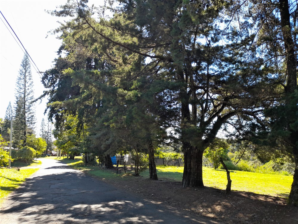 Withdrawn - Fantastic 1.5 Acre Lot for Sale in Volcancito, Boquete Close to La Estancia Swimming Pool