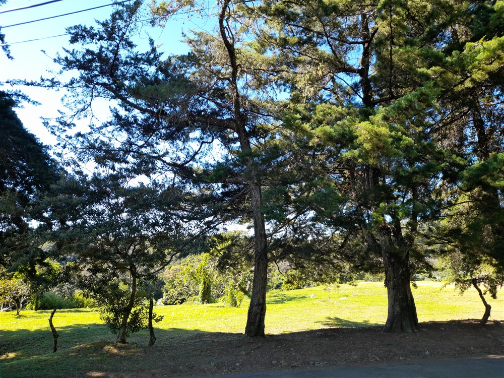 Withdrawn - Fantastic 1.5 Acre Lot for Sale in Volcancito, Boquete Close to La Estancia Swimming Pool photo 2
